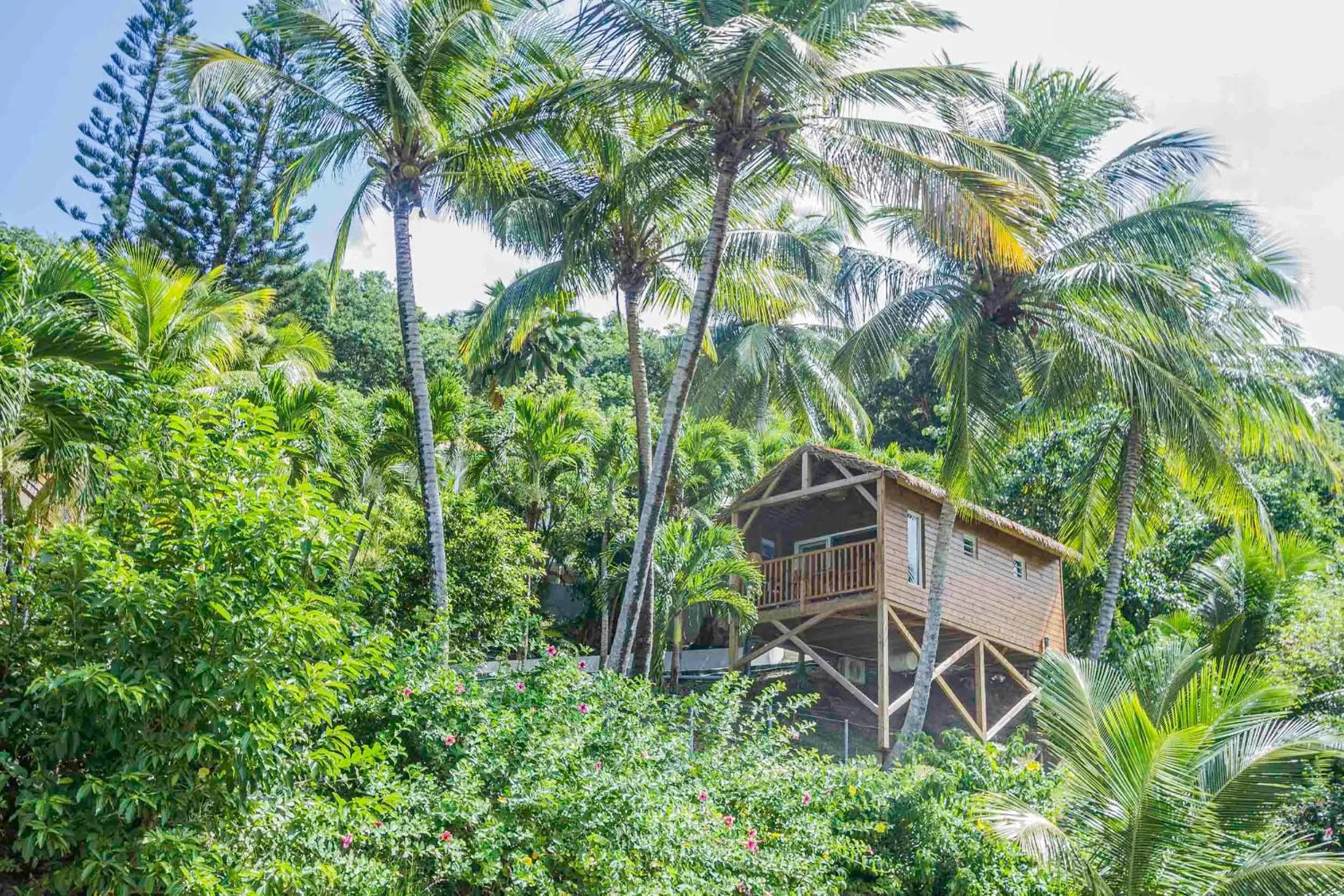 Garden in Carre Royal