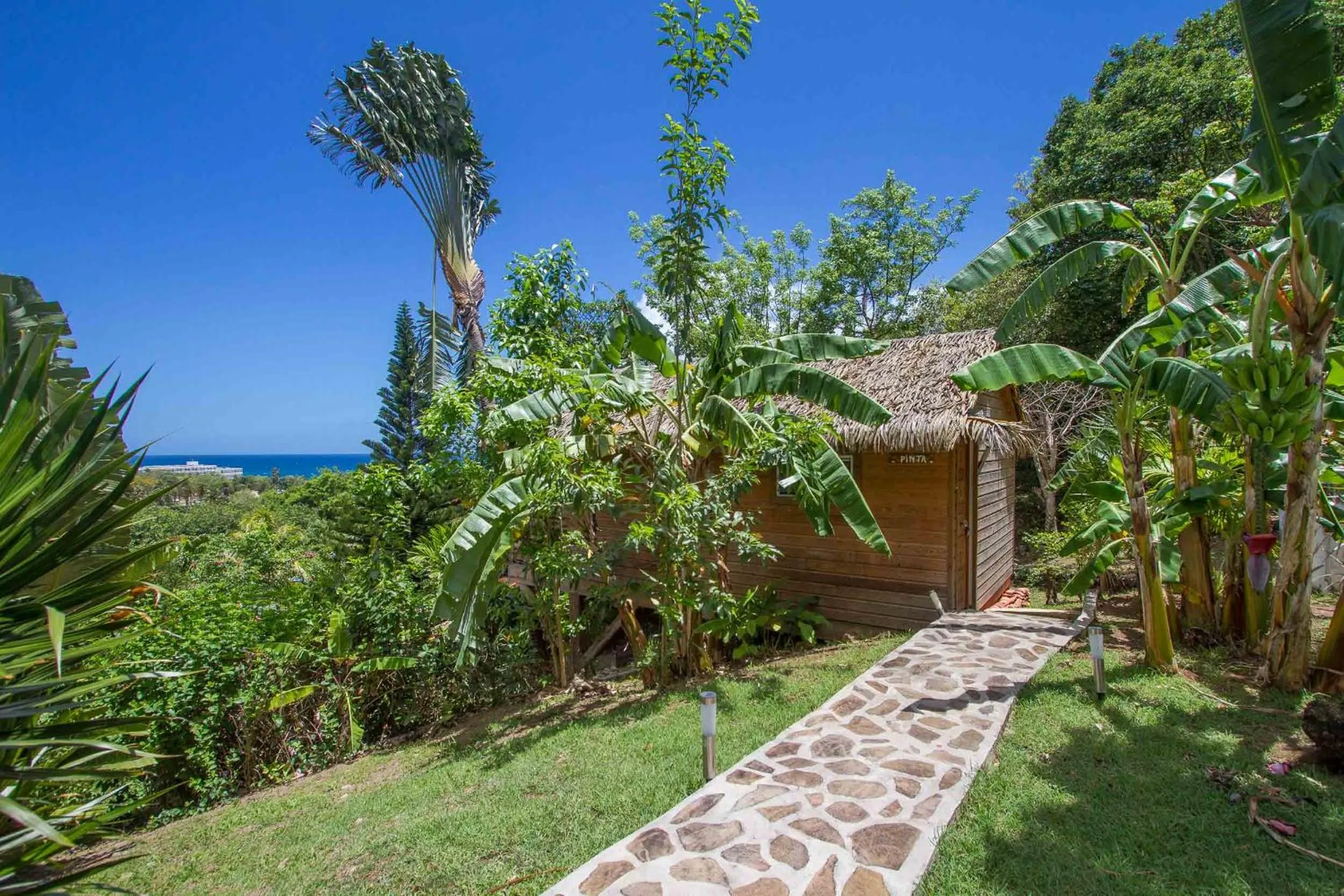 Garden in Carre Royal