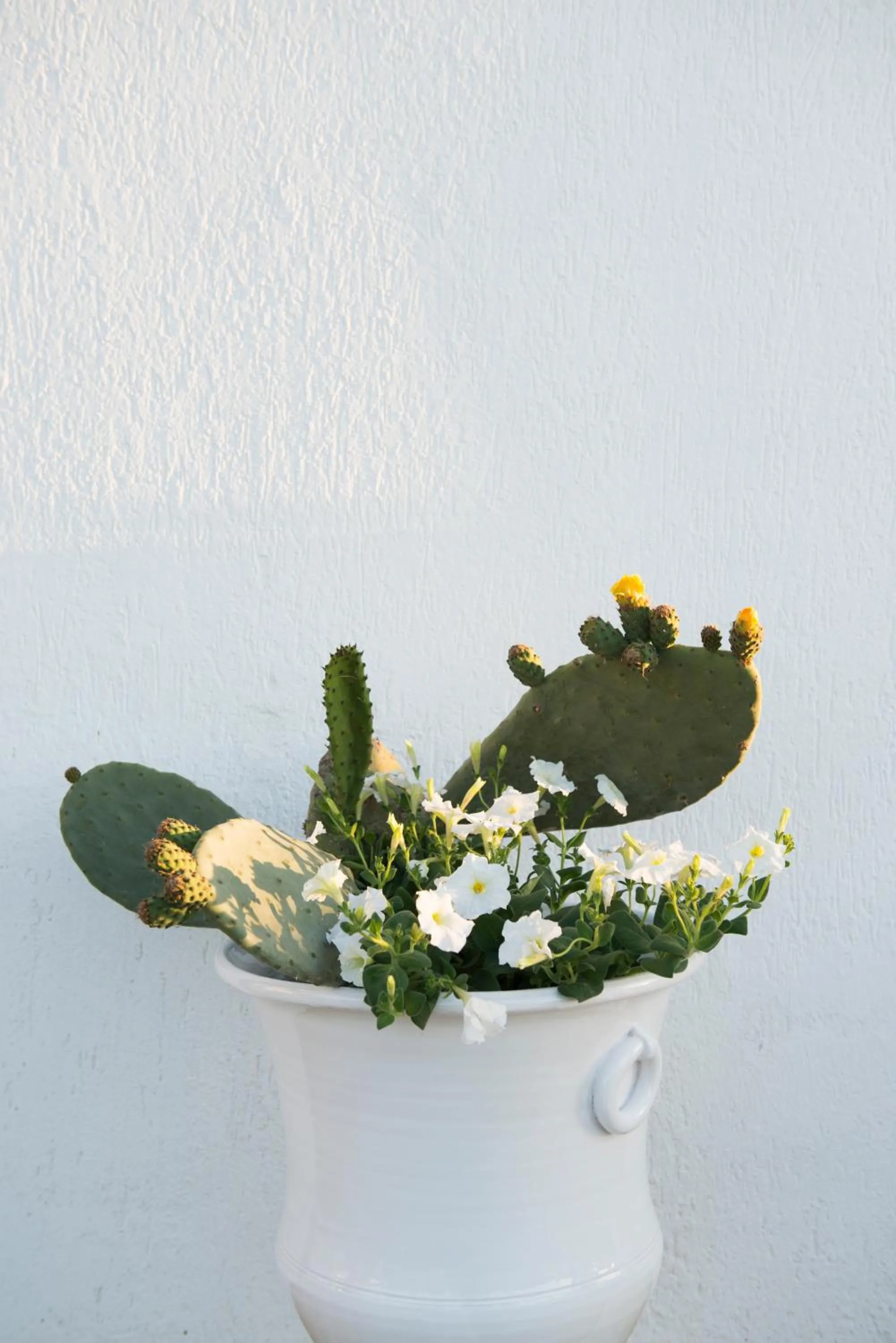 Decorative detail in Biancadamare