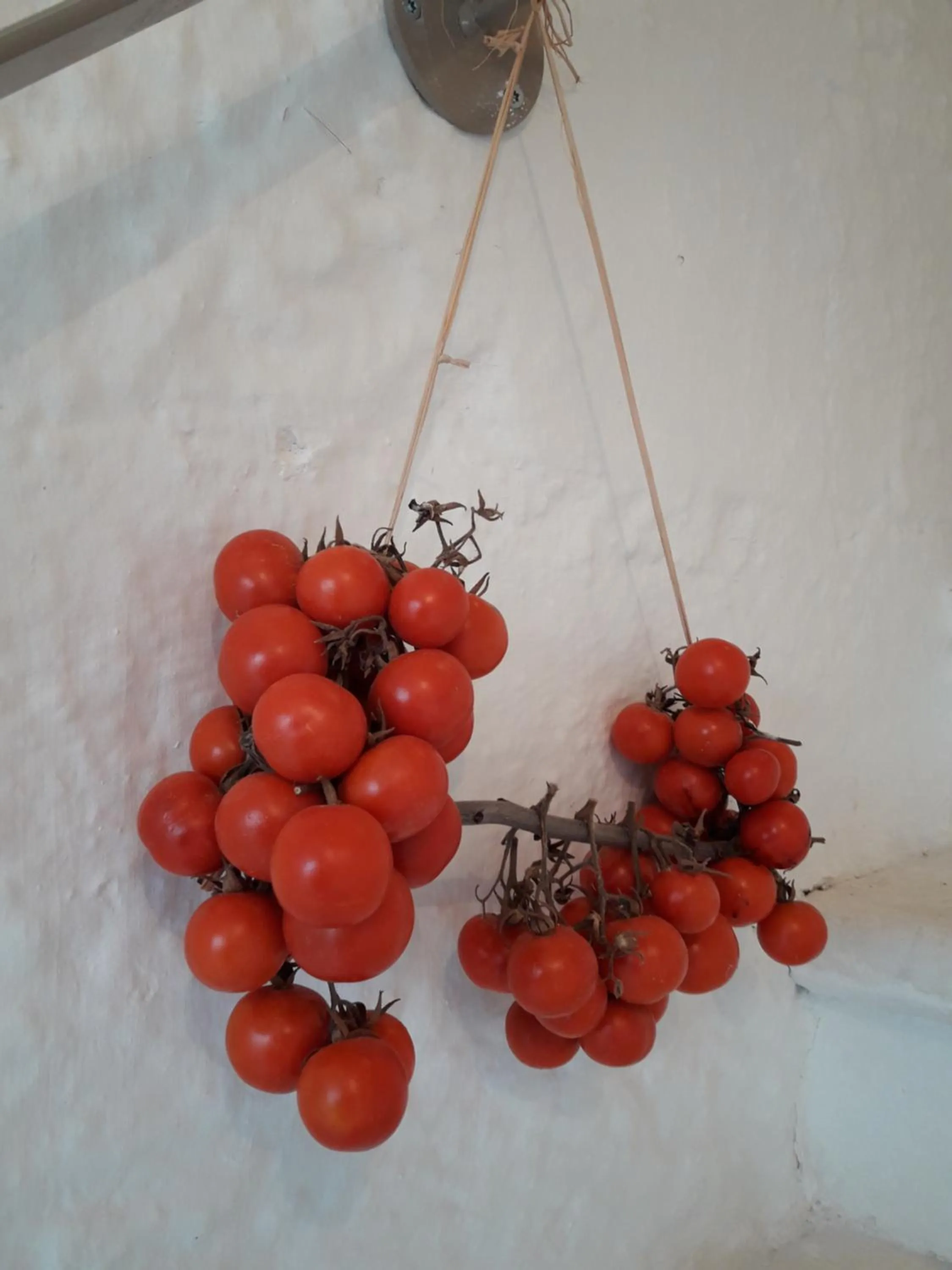 Food close-up in Biancadamare