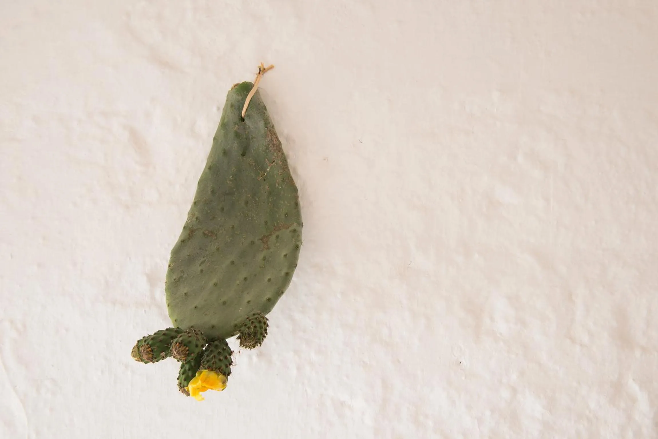 On site in Biancadamare