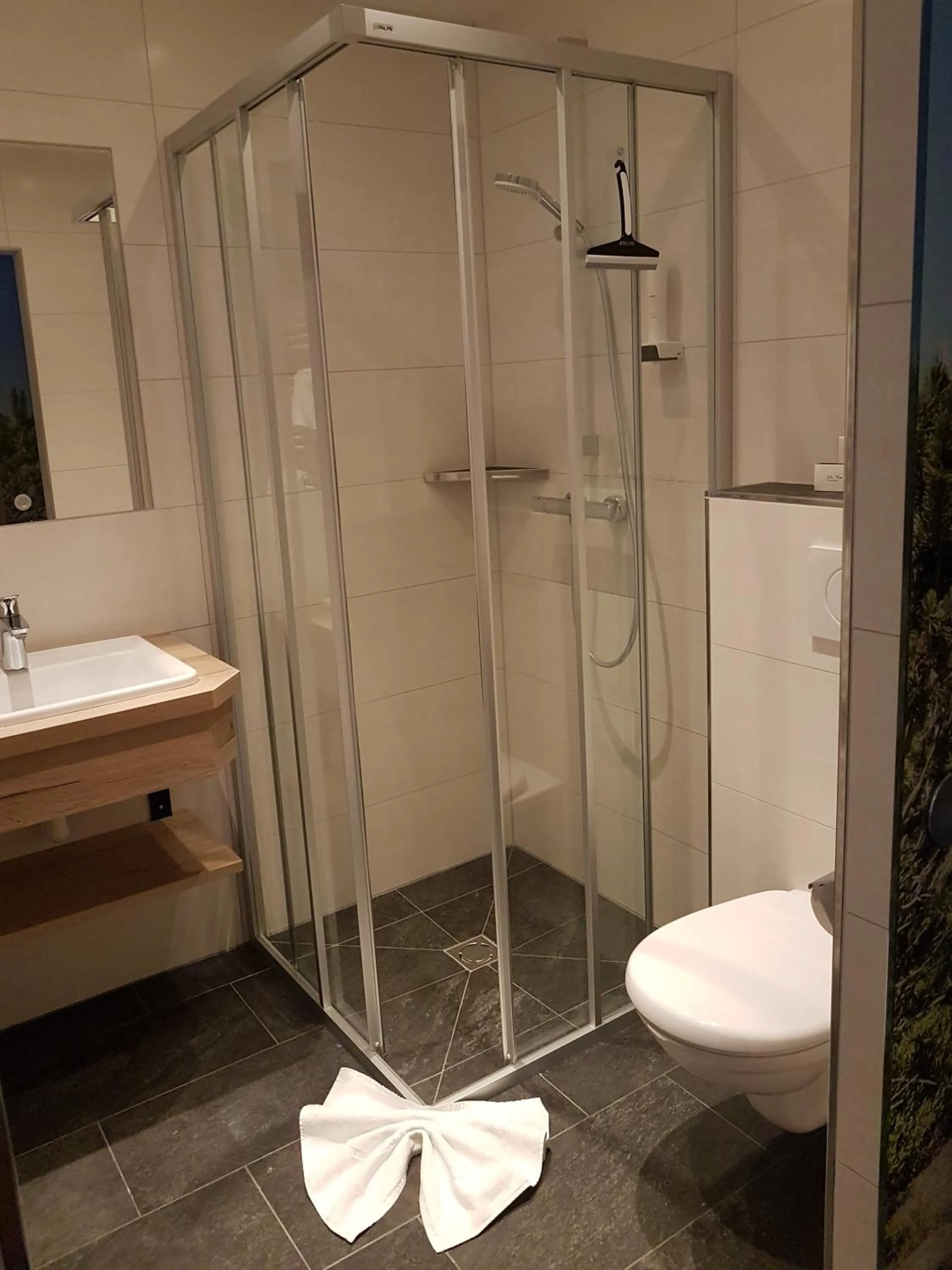 Toilet in Hotel Pariente