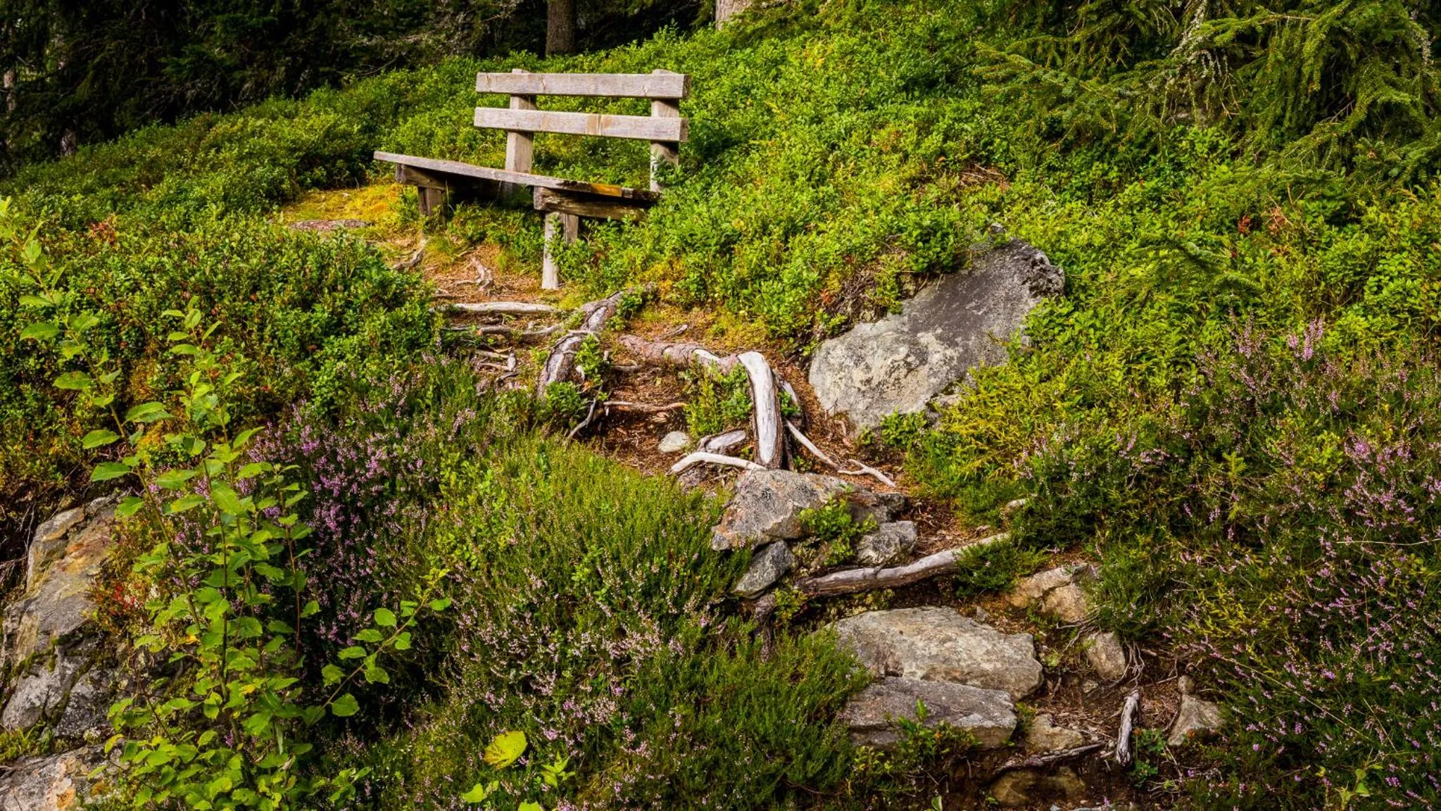 Hiking in Hotel Pariente