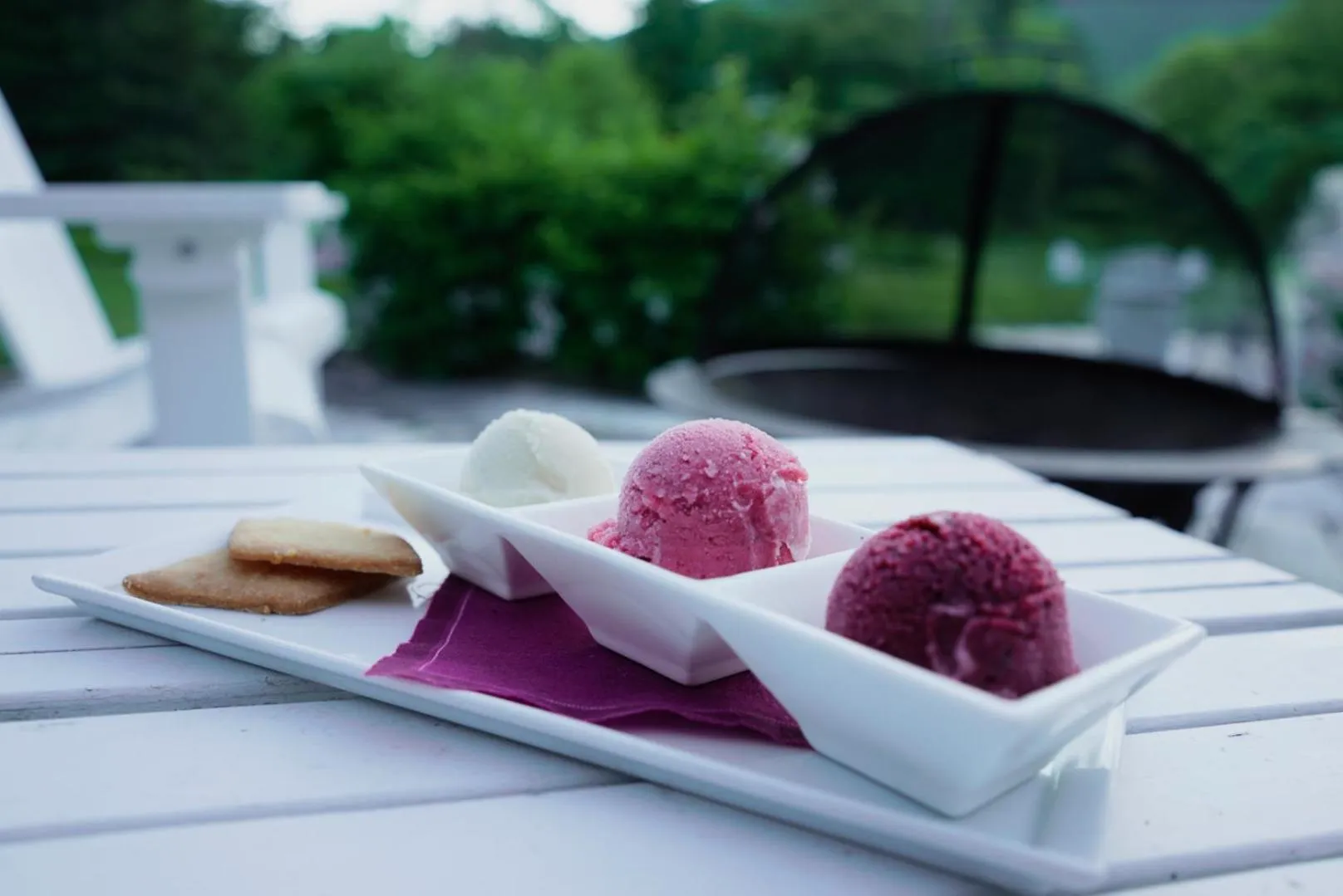 Dinner in Reluctant Panther Inn & Restaurant