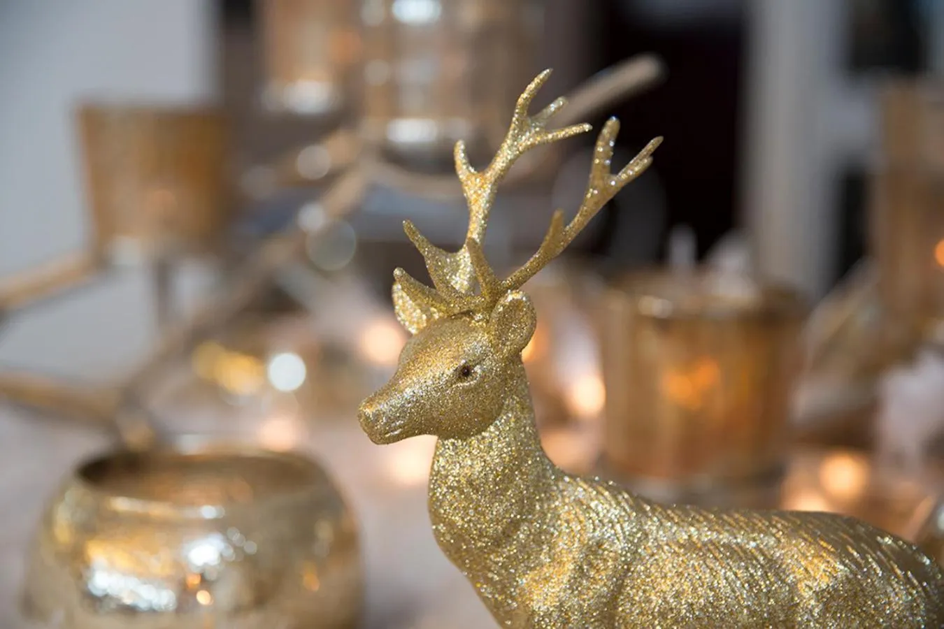 Winter in Hotel Bergwelt