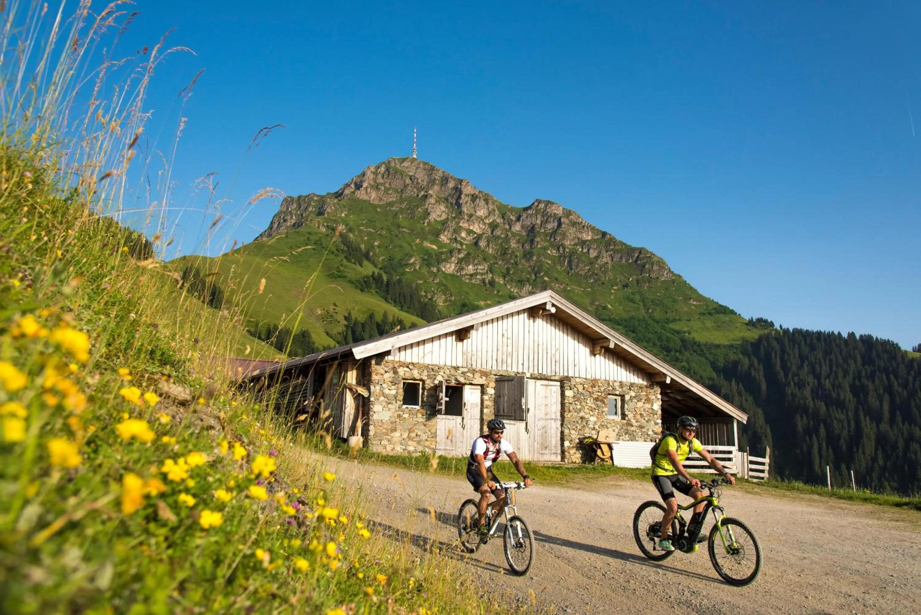 Summer in Hotel Fischer