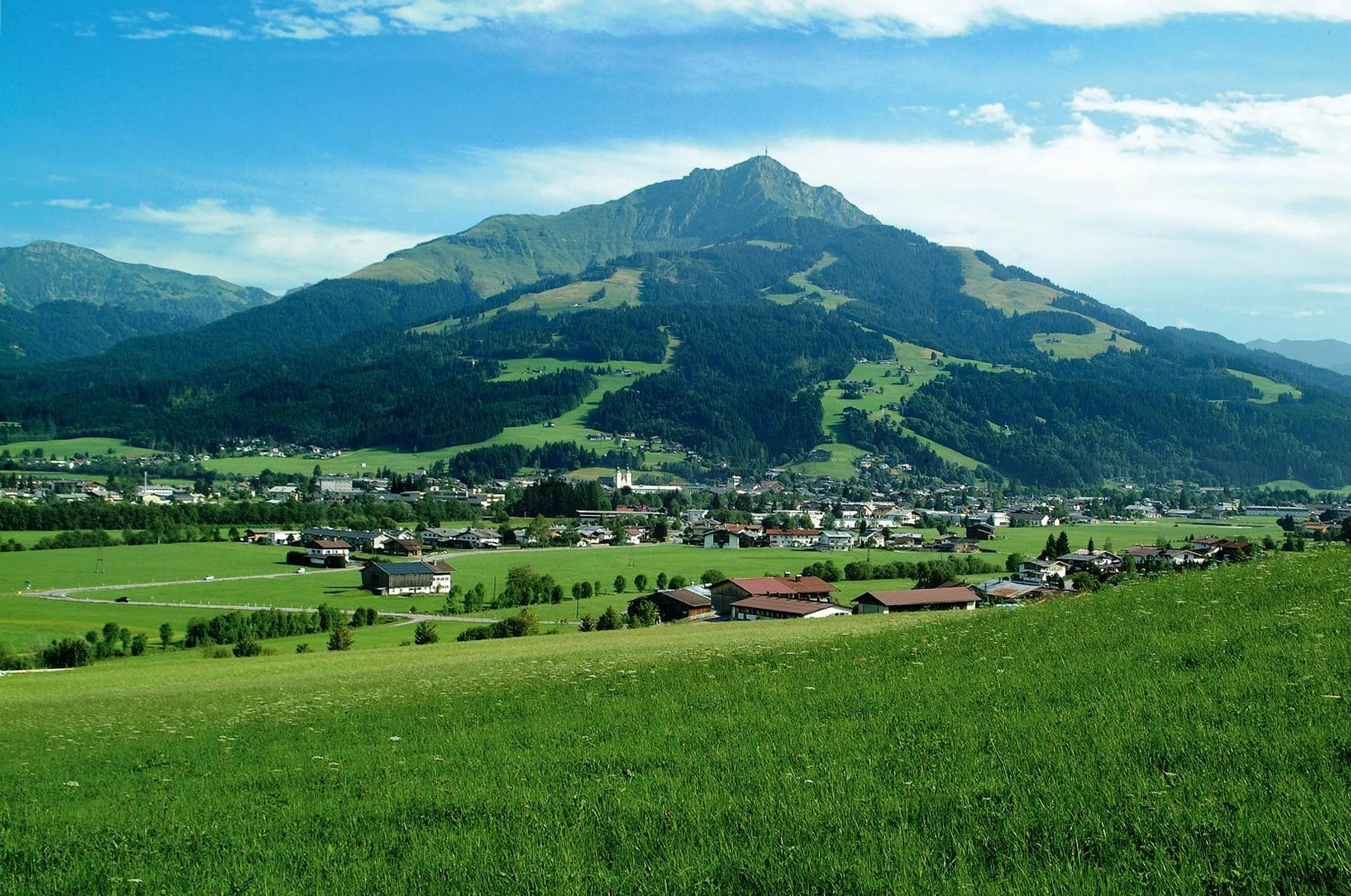 Area and facilities in Hotel Fischer
