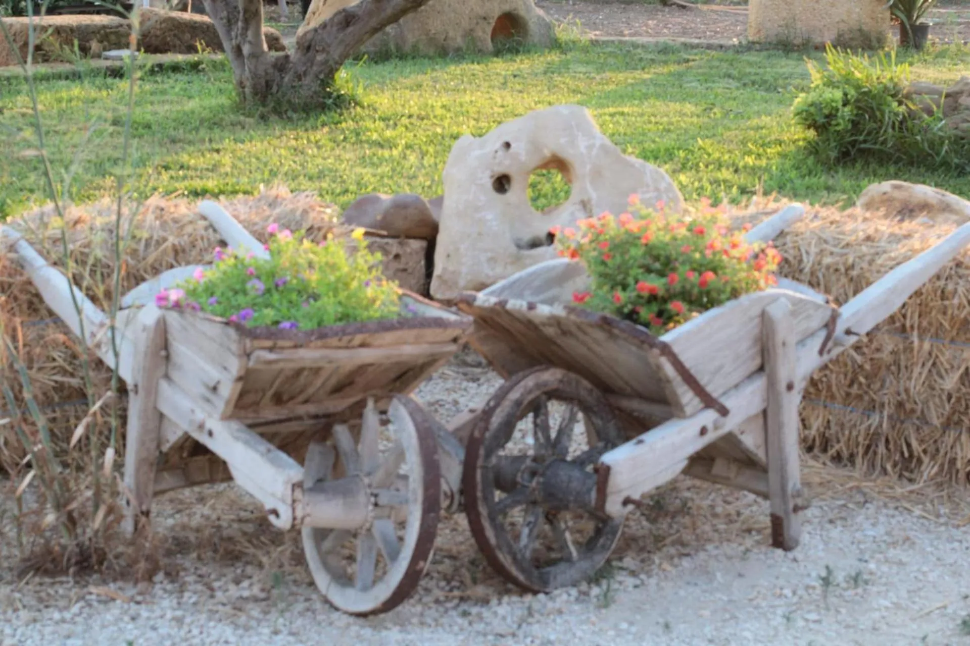 Spring in Raggio Di Sale