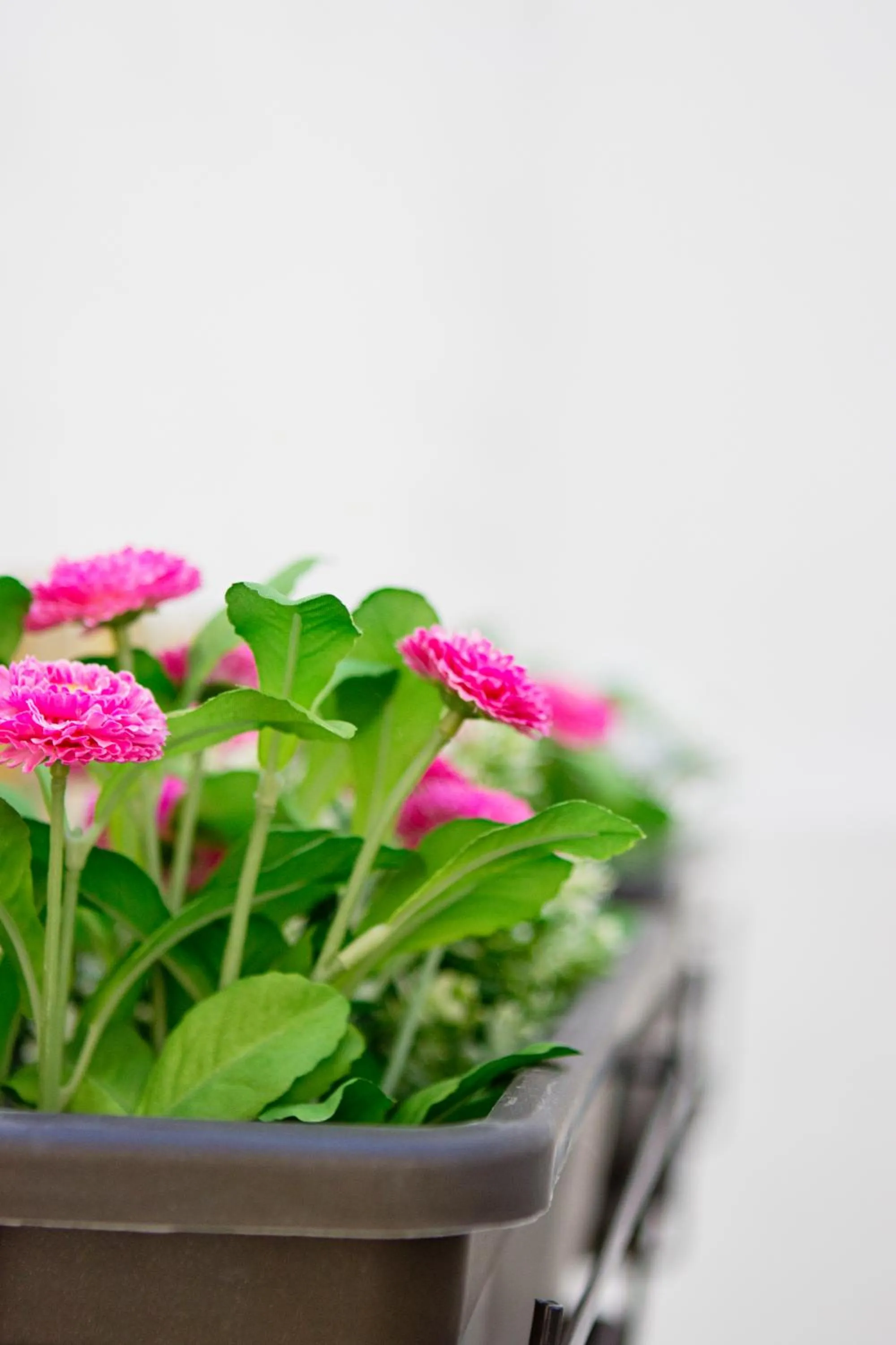 Decorative detail in MyStay Porto Bolhão