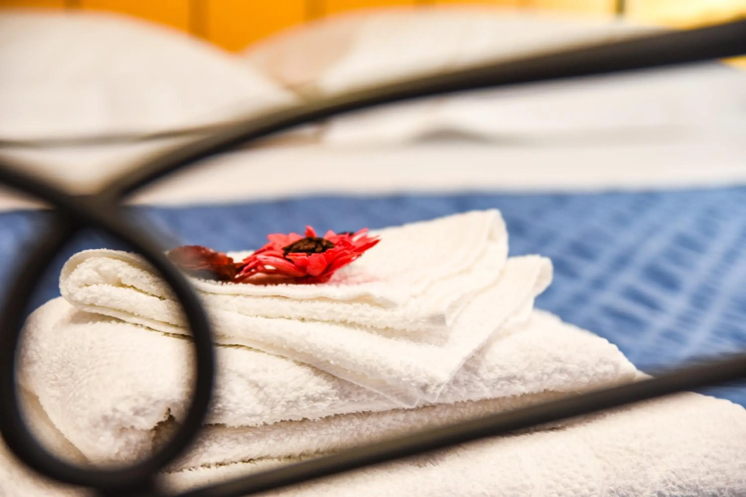 Dimora del Balì Dimora del Balì