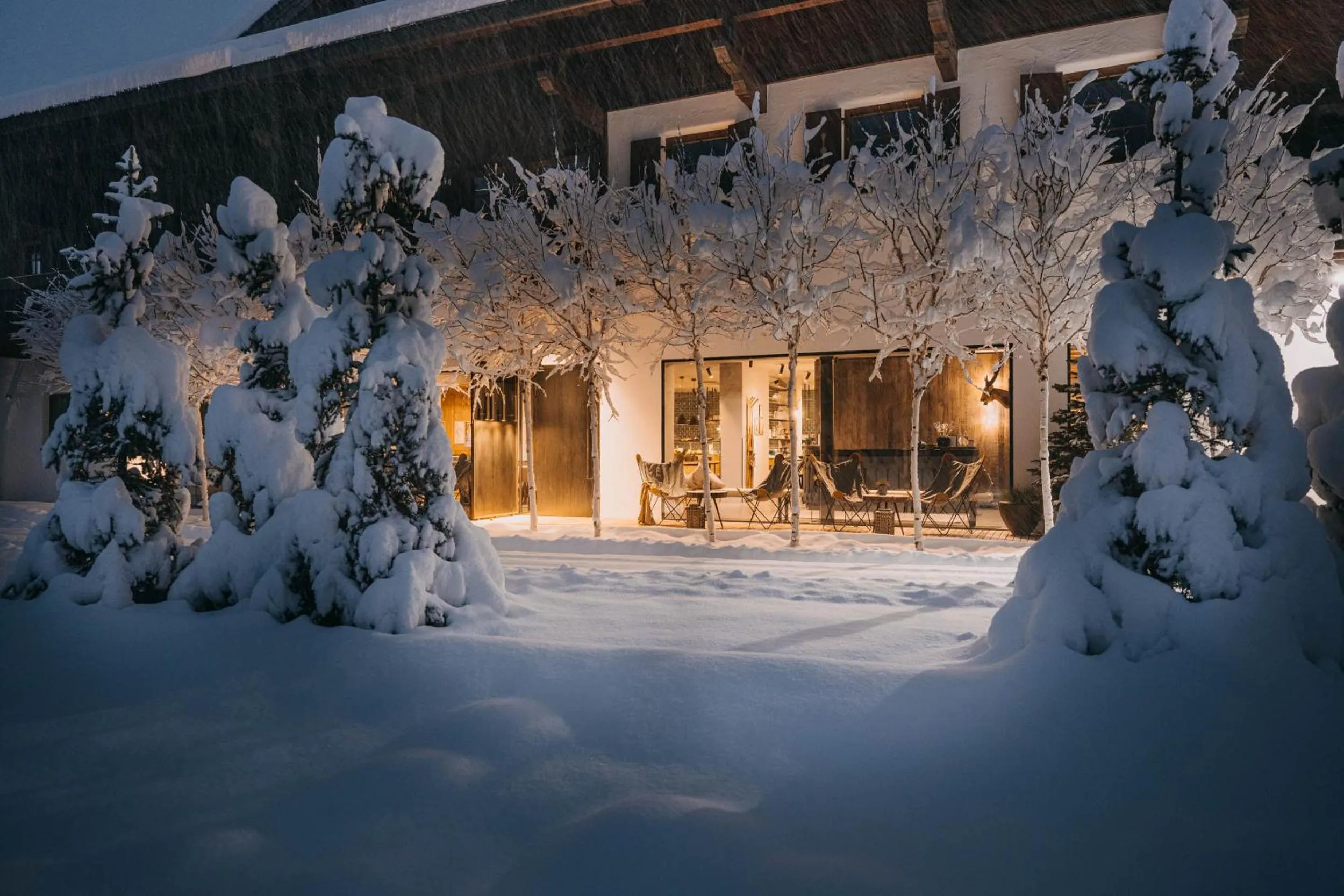 Property building in Schönherr Haus