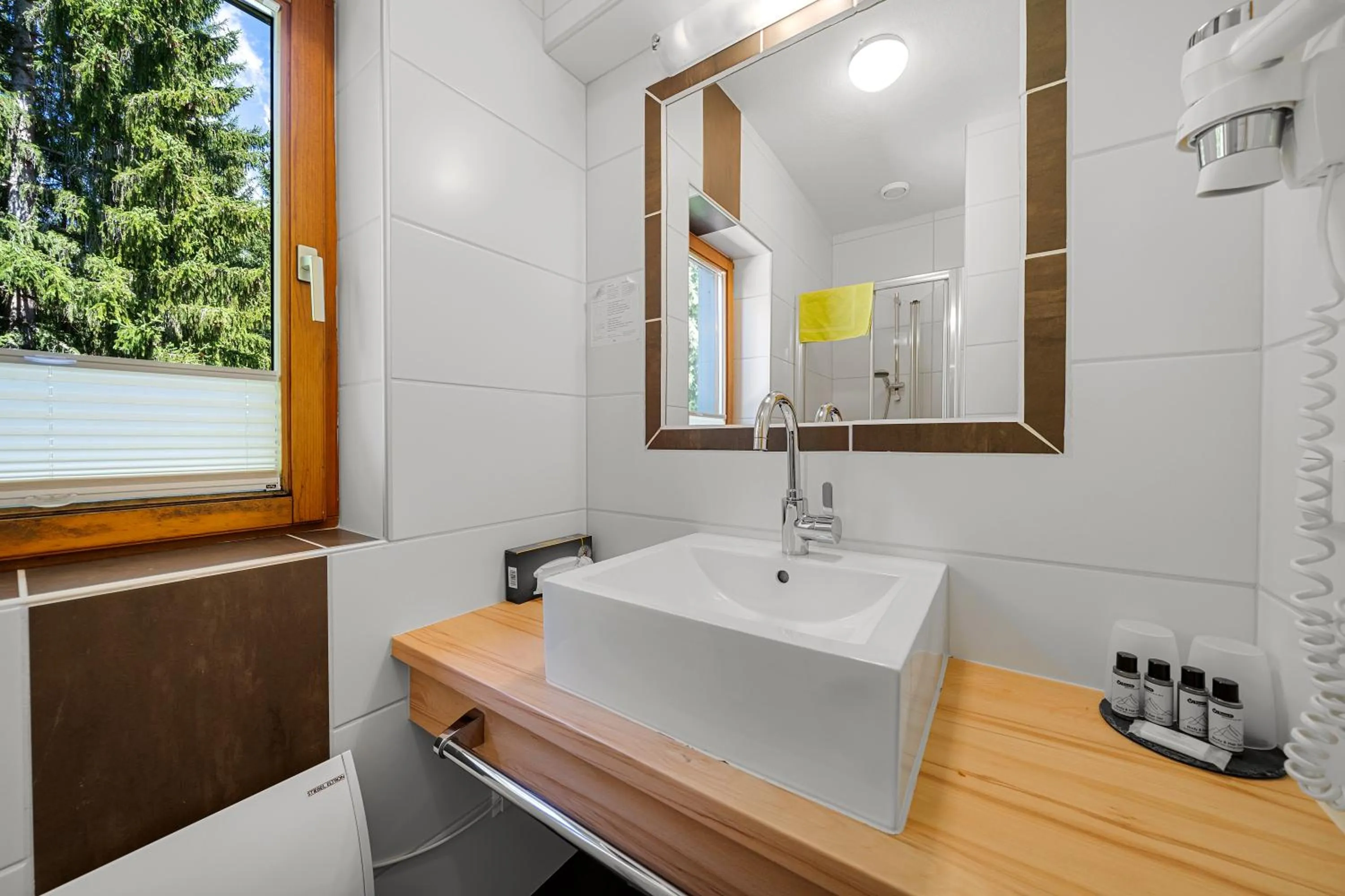 Bathroom in Hotel Ramsaueralm