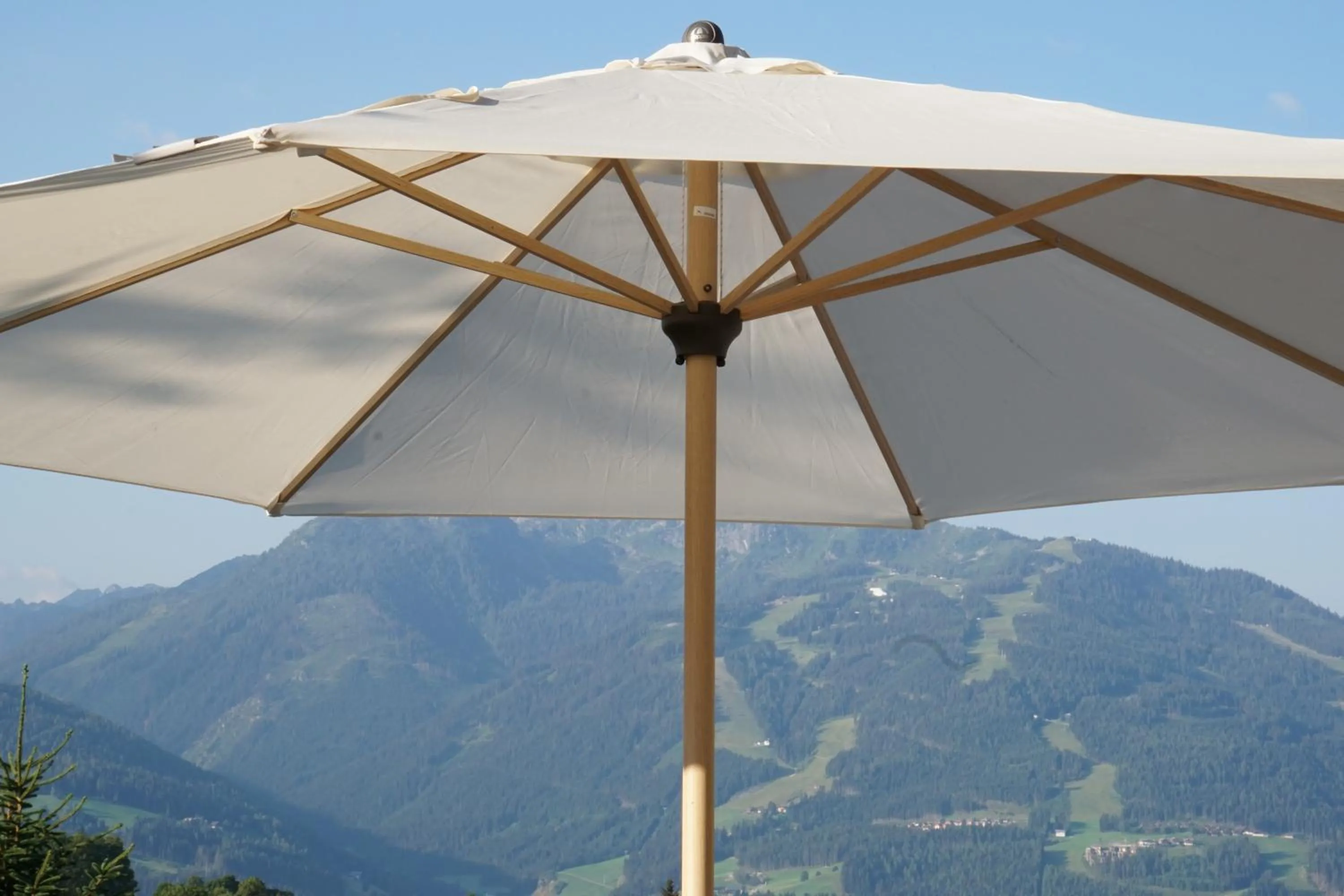 Mountain view in Hotel Ramsaueralm