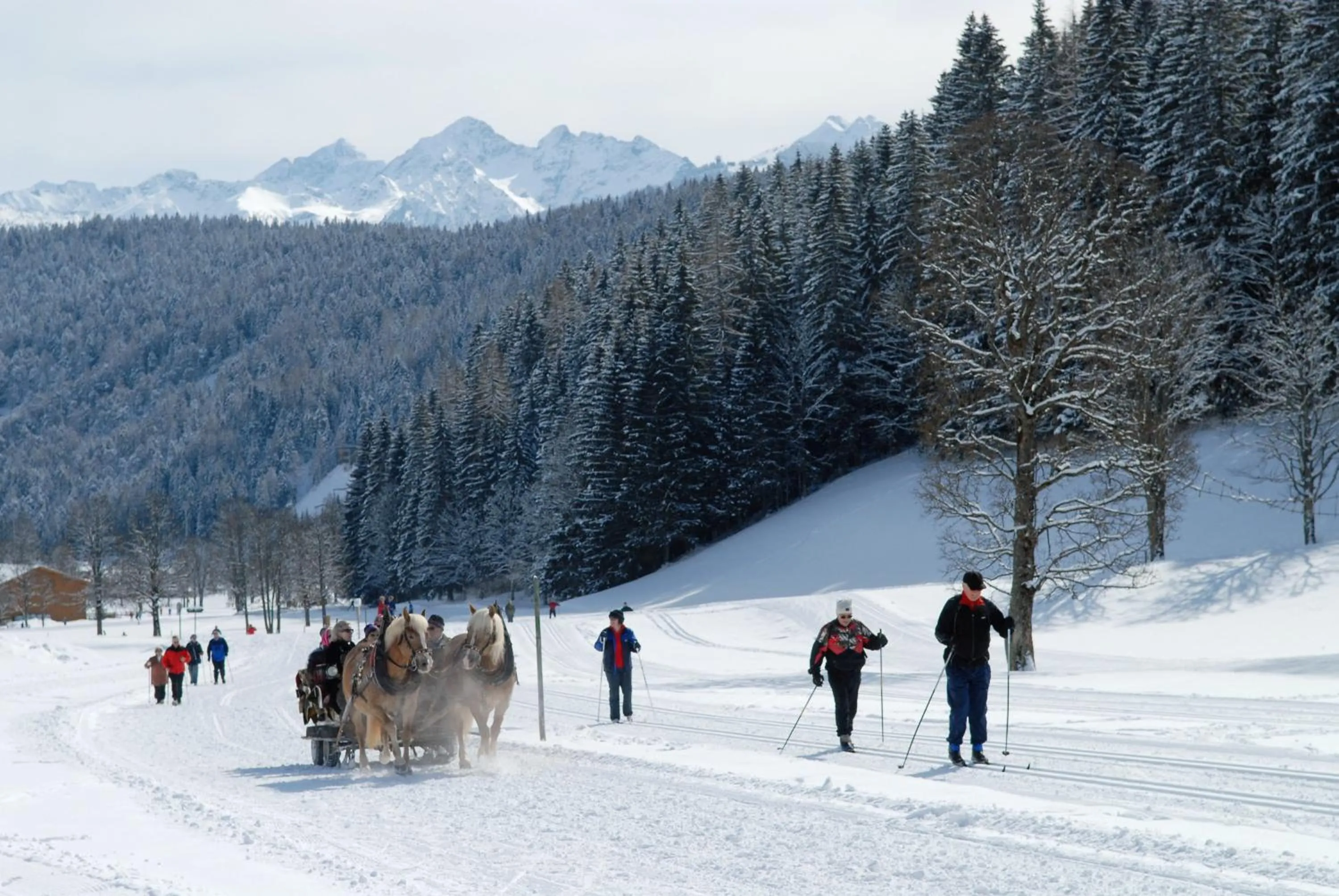 Area and facilities in Hotel Ramsaueralm