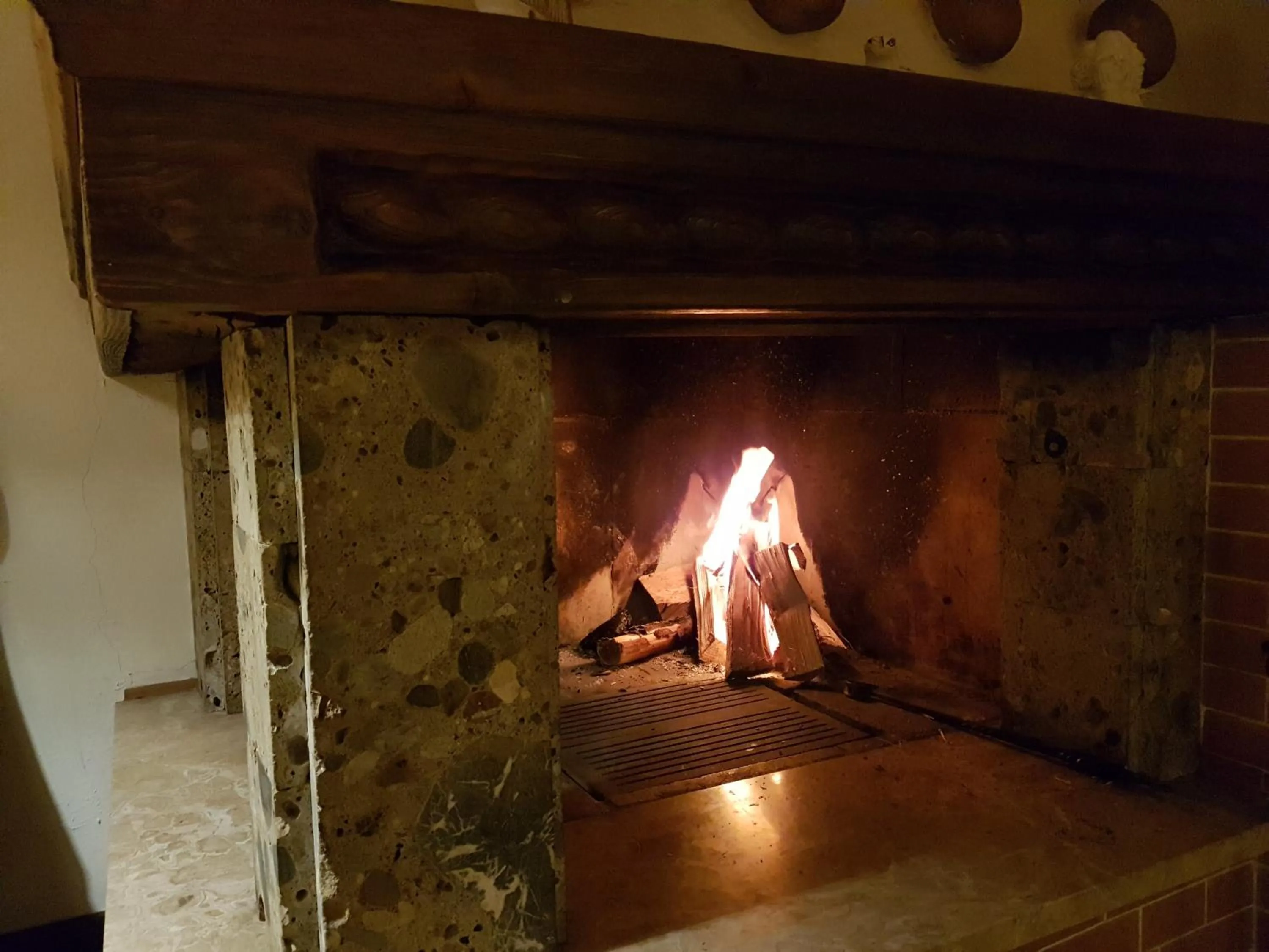 Restaurant/places to eat in Hotel Ramsaueralm