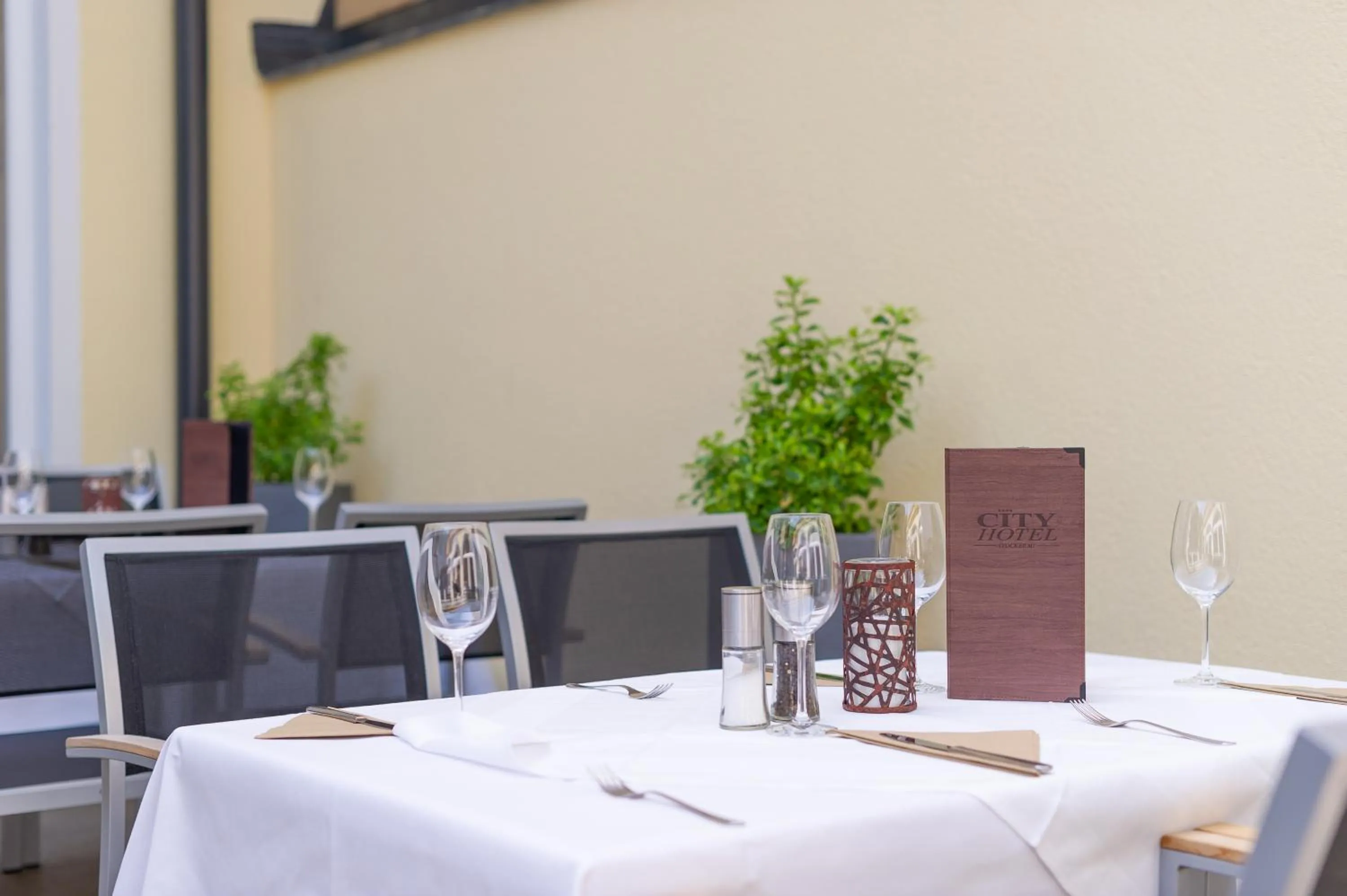 Balcony/Terrace in City Hotel Stockerau