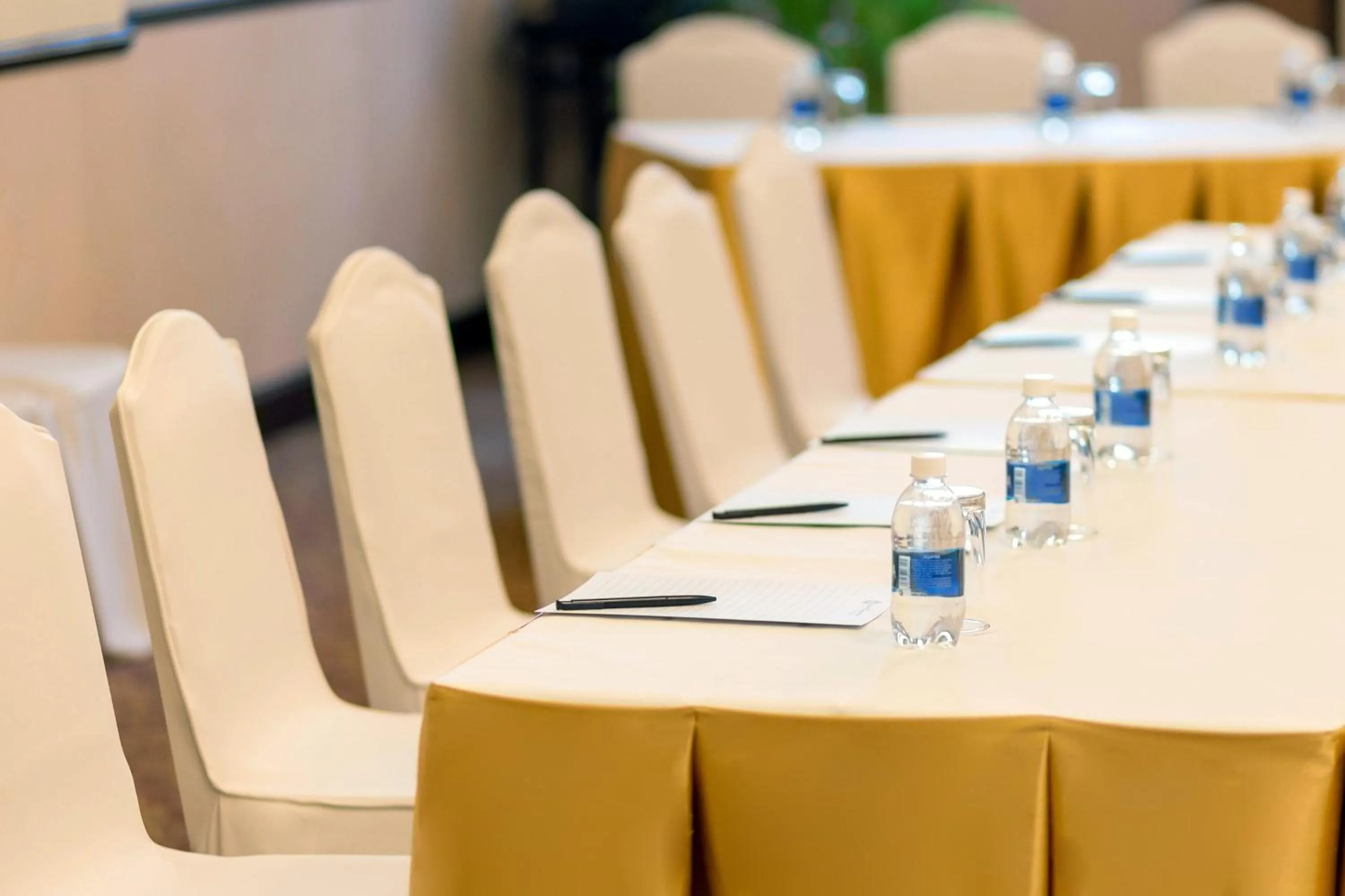 Business facilities in Equatorial Ho Chi Minh City
