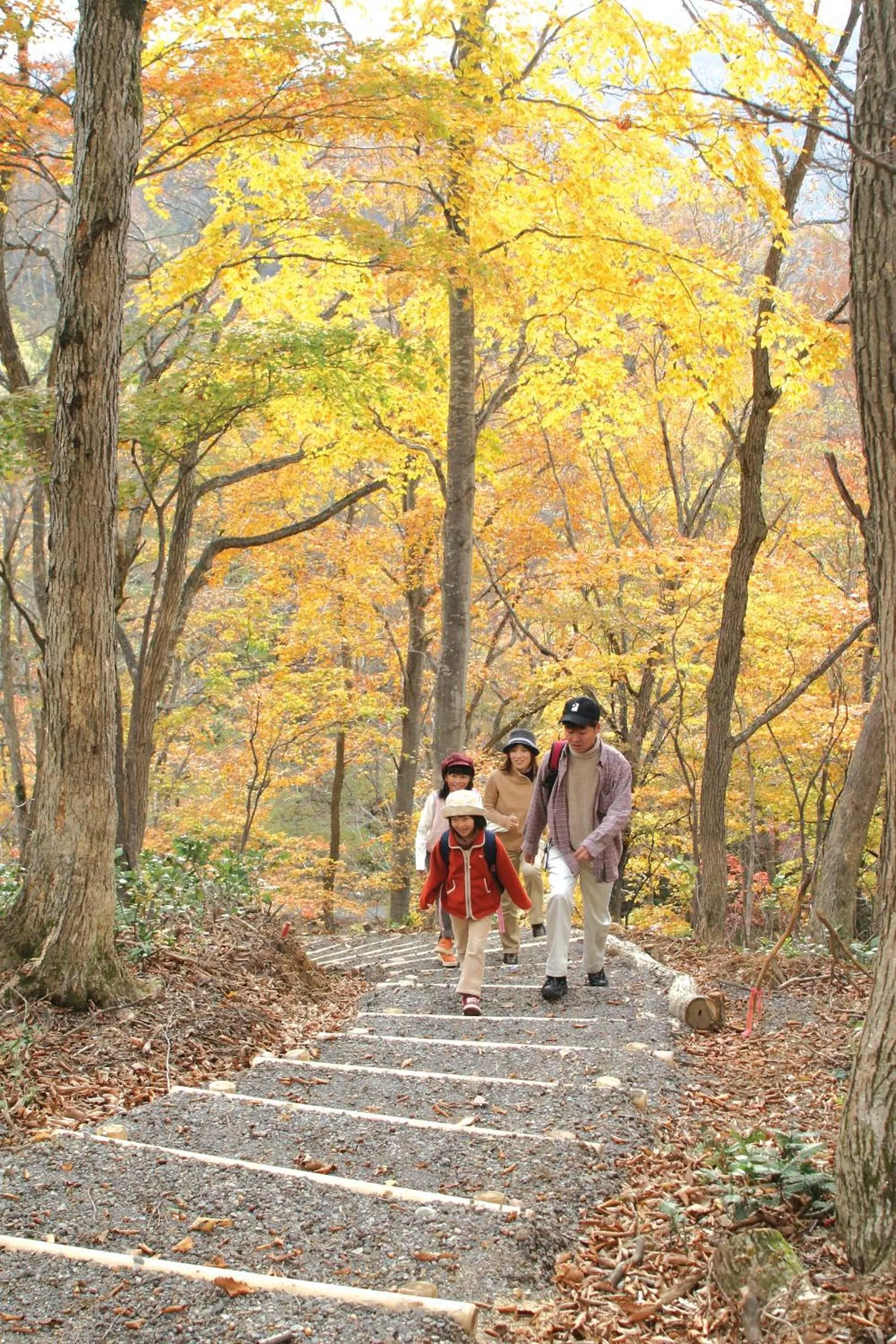 Day in Hotel Tangram