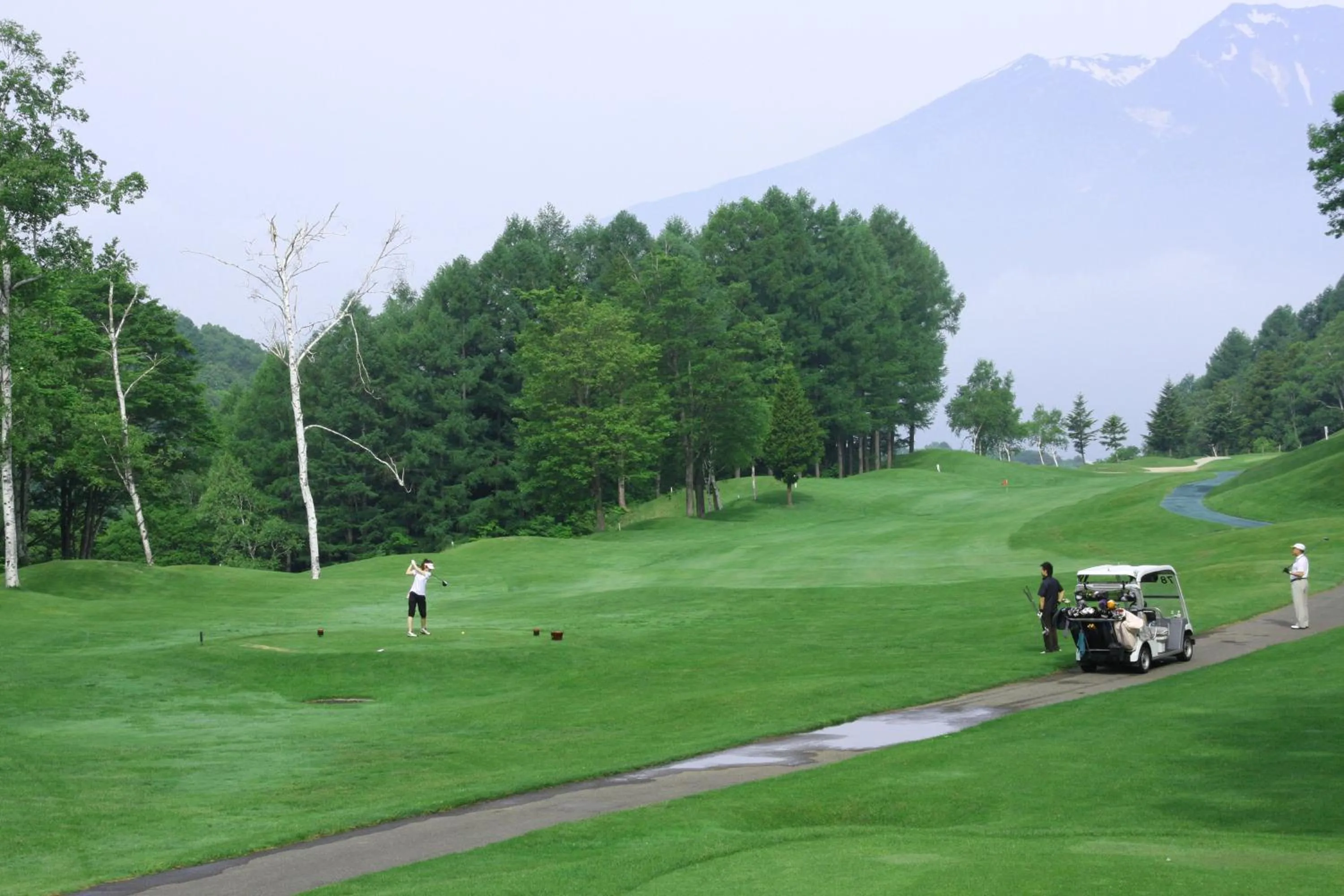 Golfcourse in Hotel Tangram