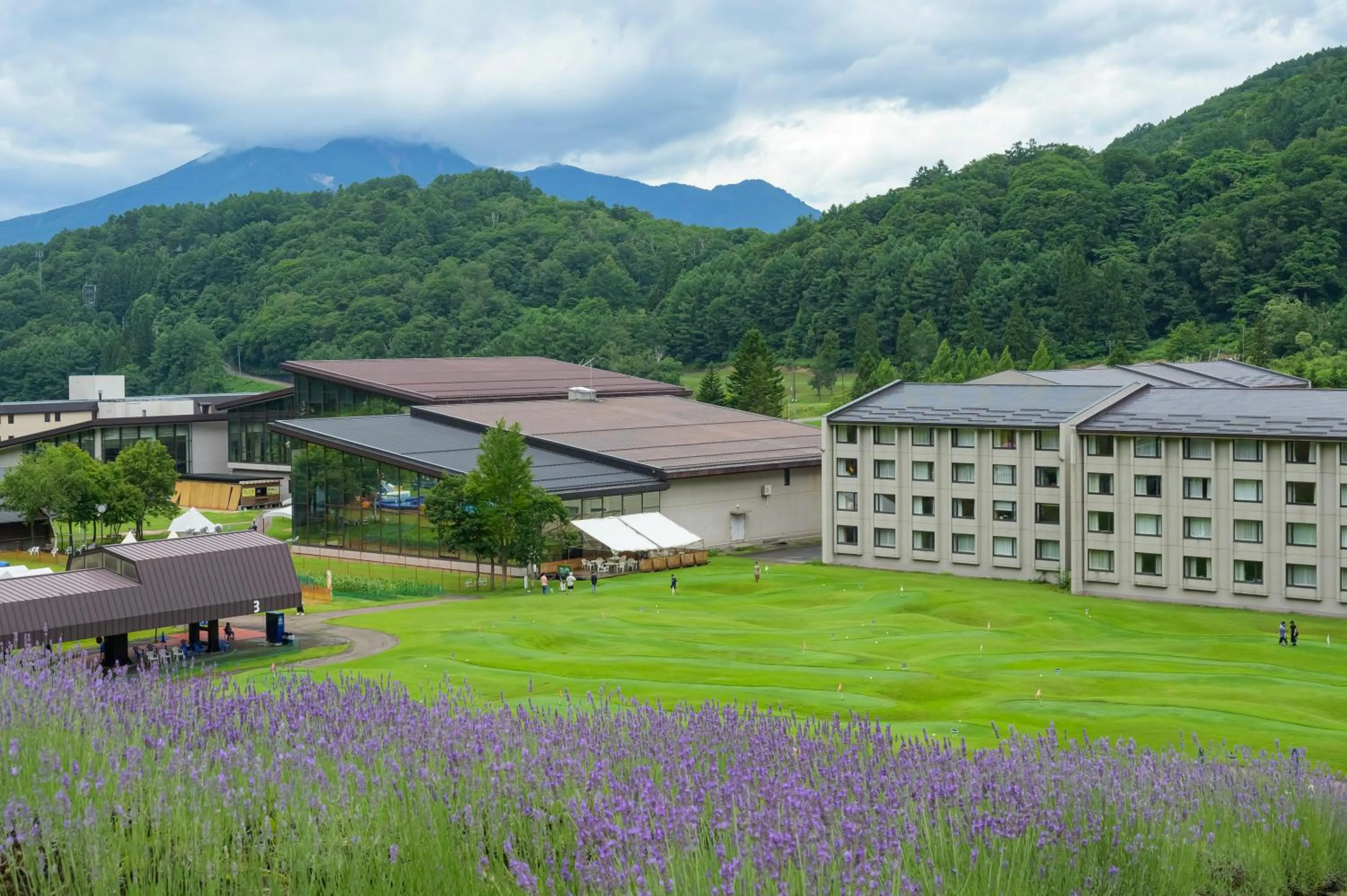 Property building in Hotel Tangram