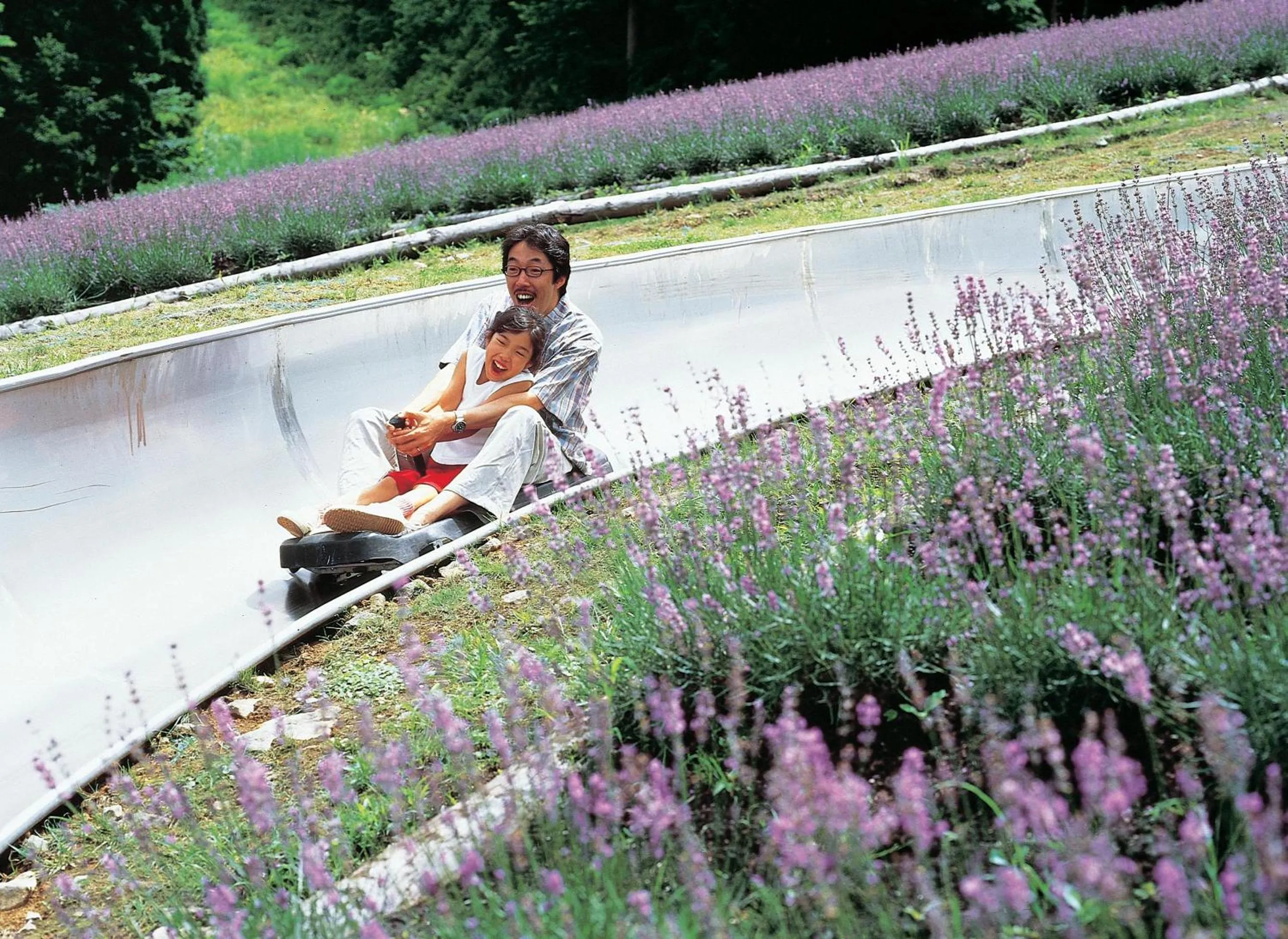 Activities in Hotel Tangram