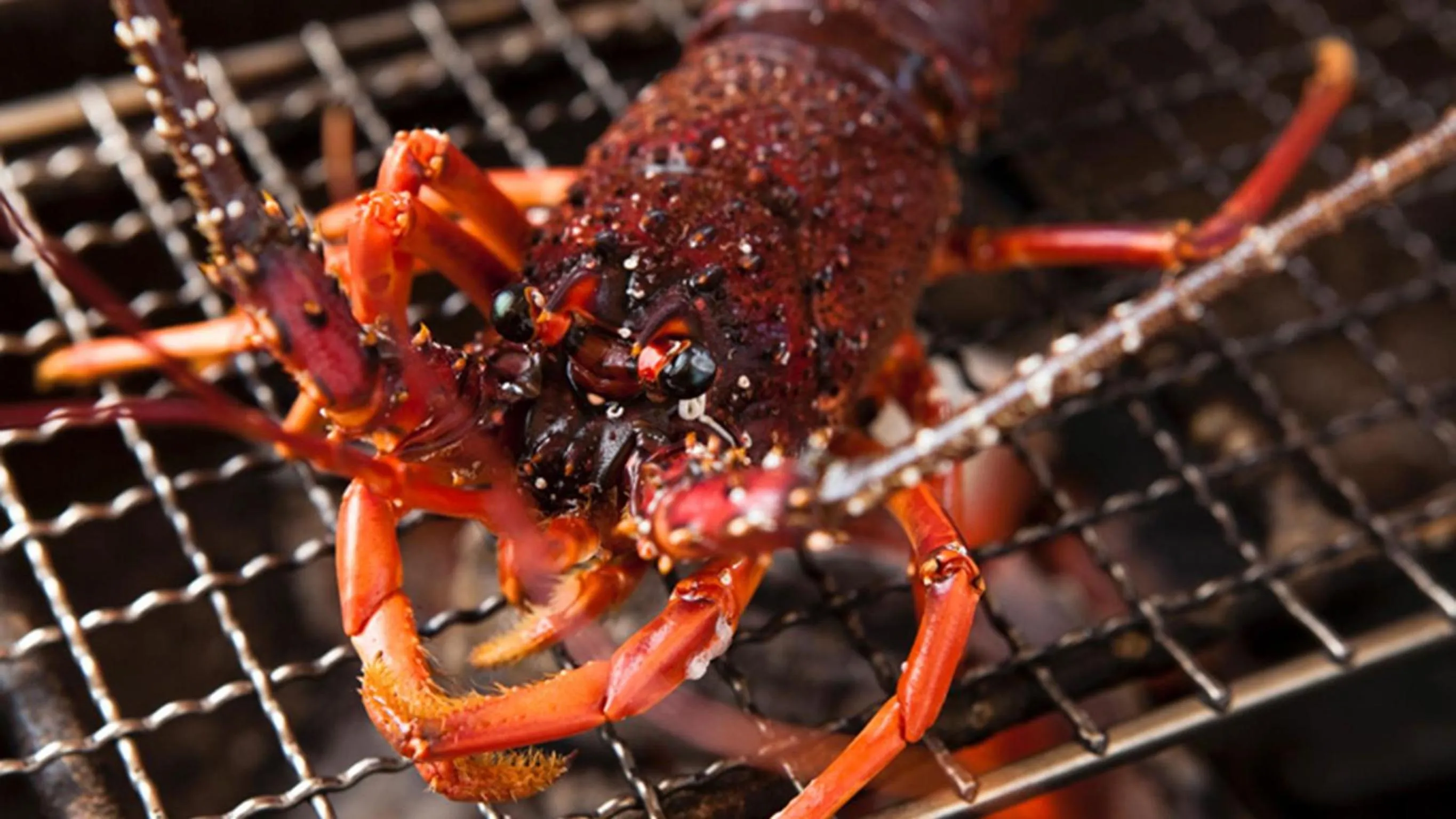Food close-up in Ryouri no yado Ginrin