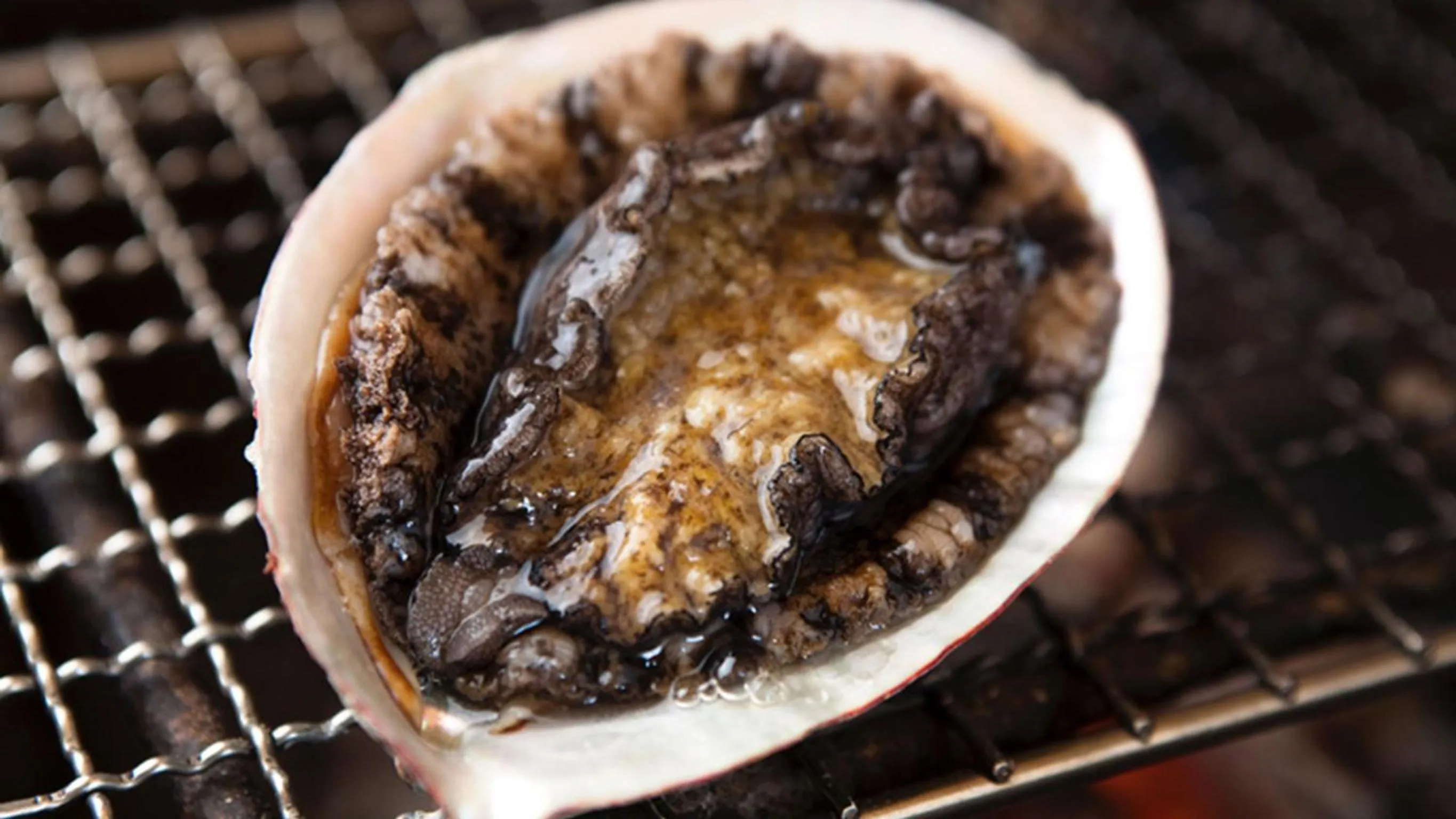 Food close-up in Ryouri no yado Ginrin