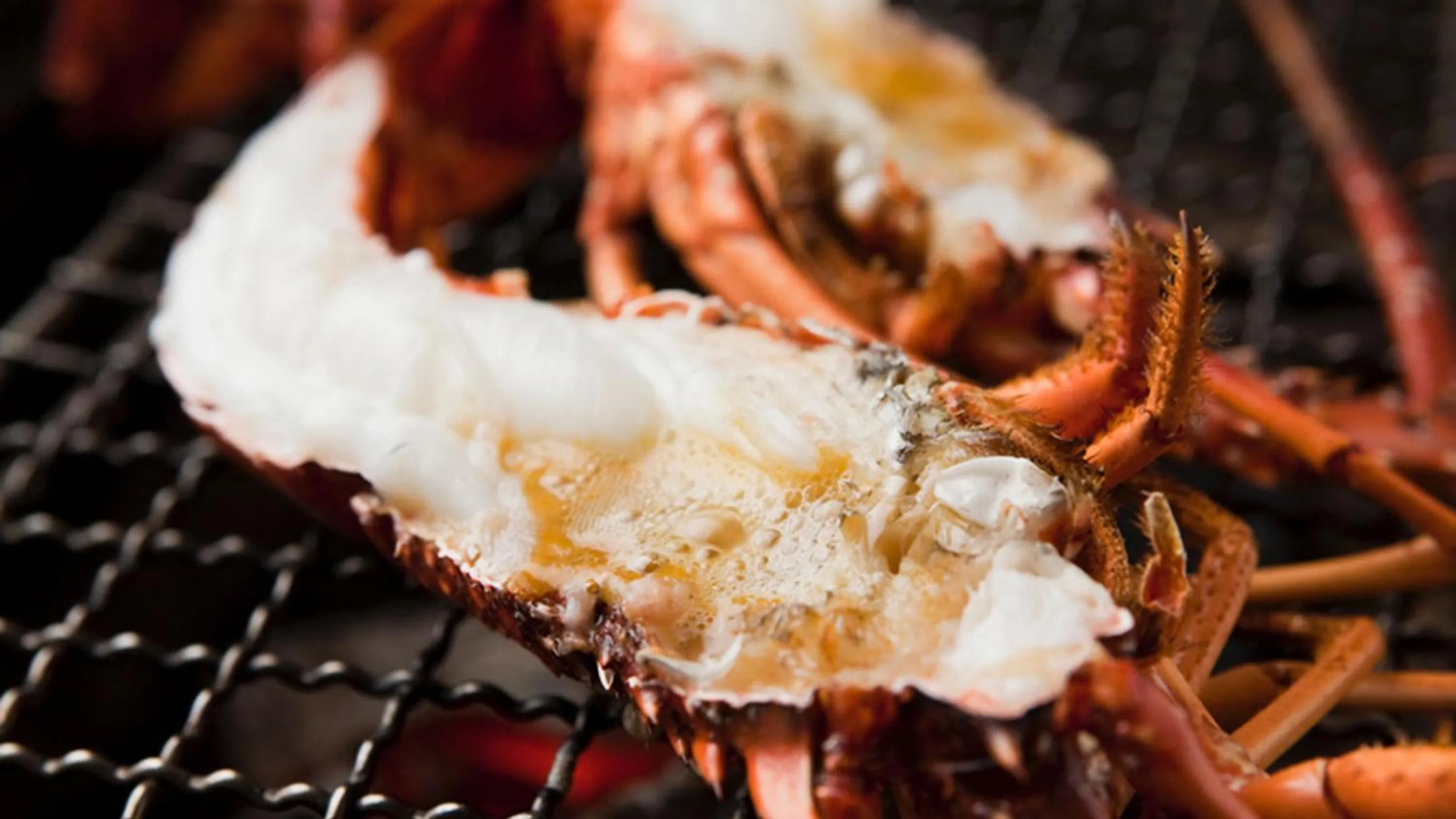 Food close-up in Ryouri no yado Ginrin