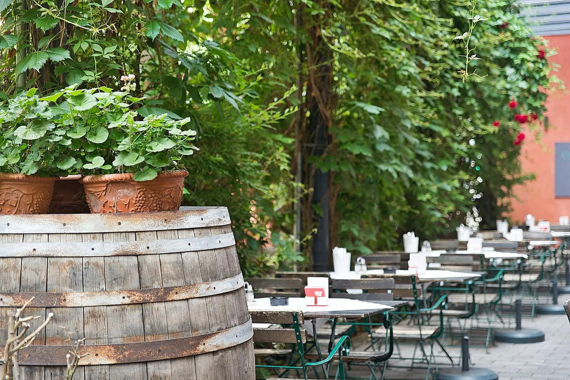 Restaurant/places to eat in Hotel Fabrik Wien