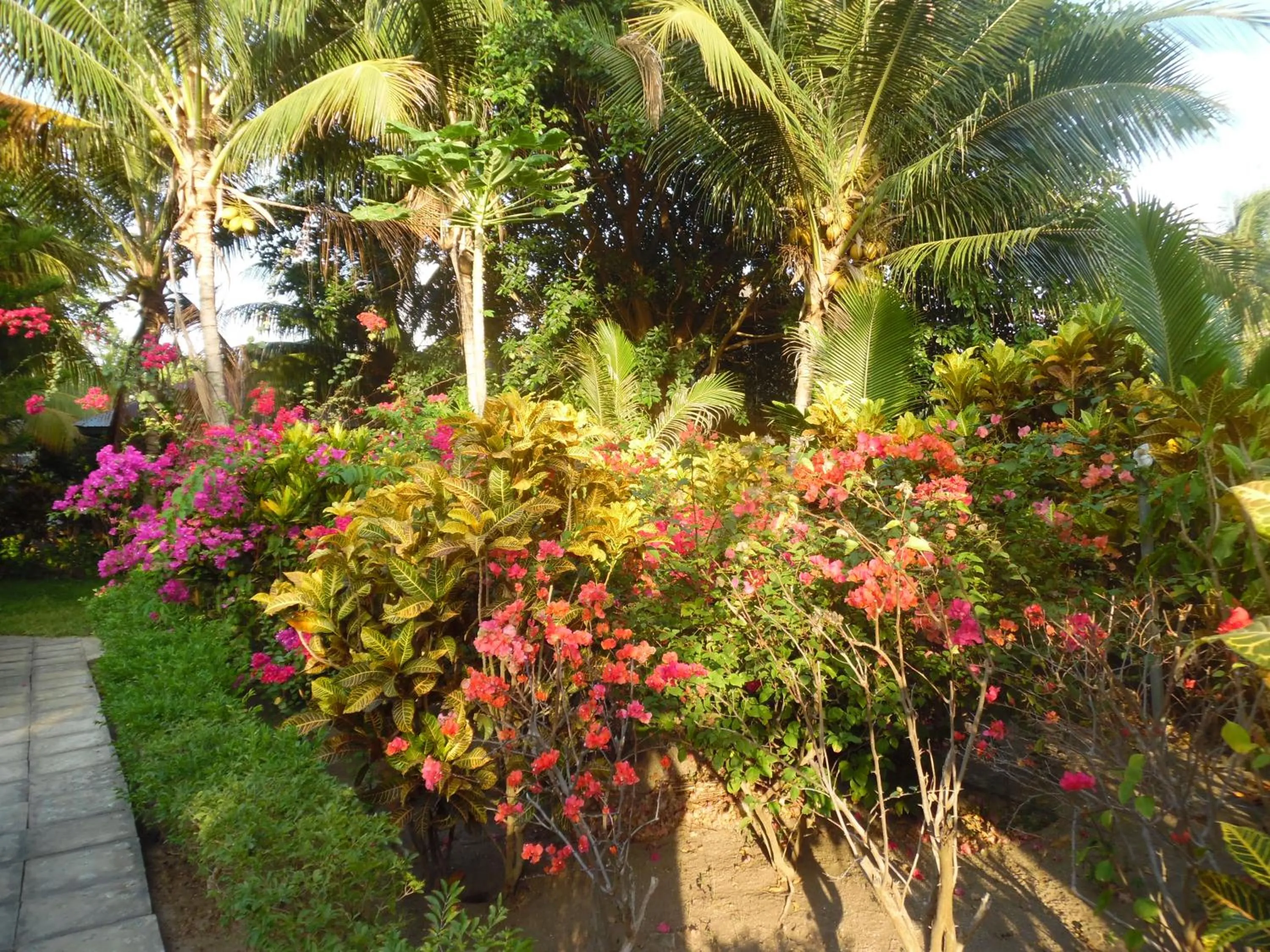 Garden in Sea World Club Beach Resort & Dive Center, RESORT THAT SUPPORTS THE POOR