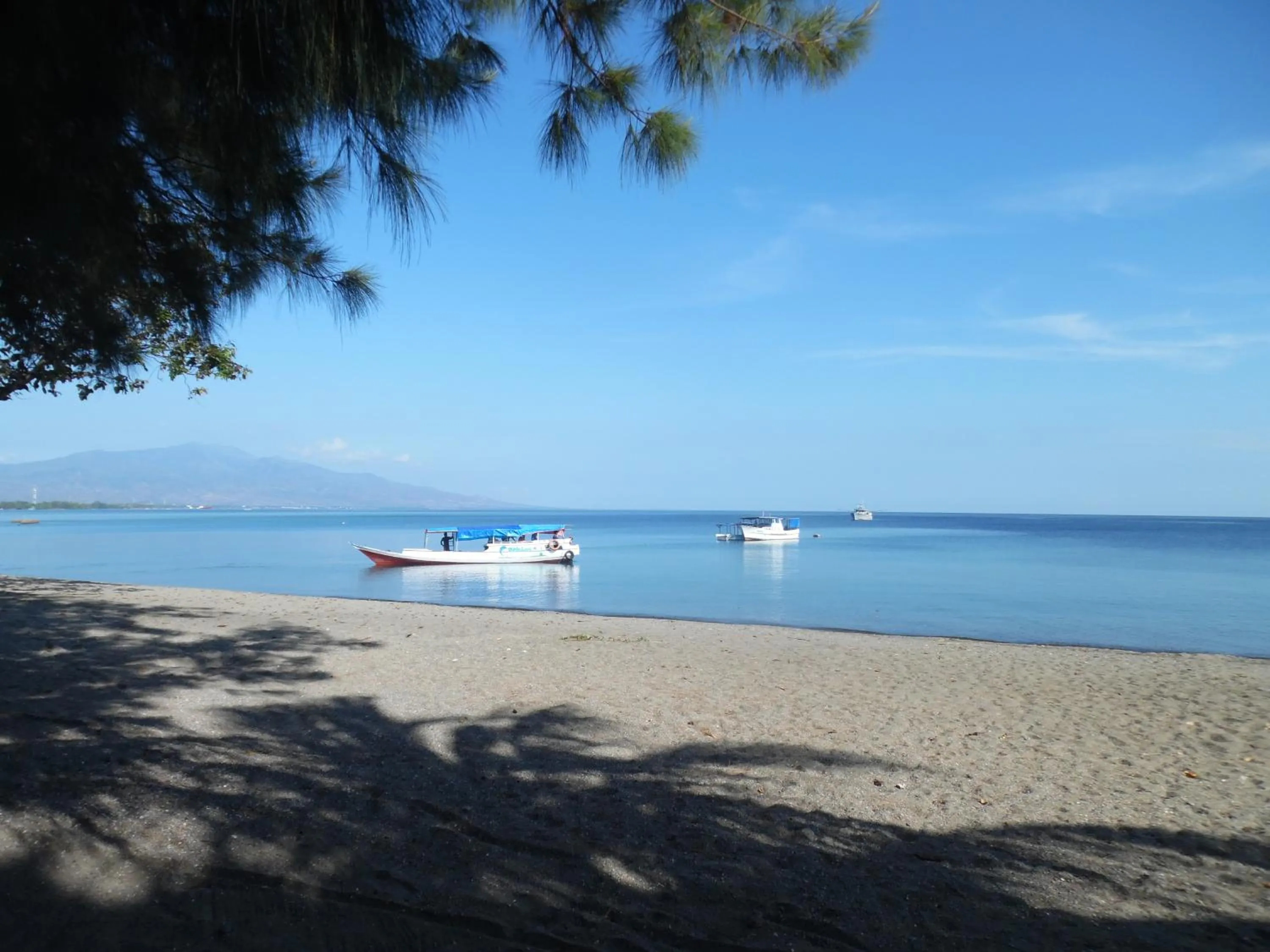 Activities in Sea World Club Beach Resort & Dive Center, RESORT THAT SUPPORTS THE POOR