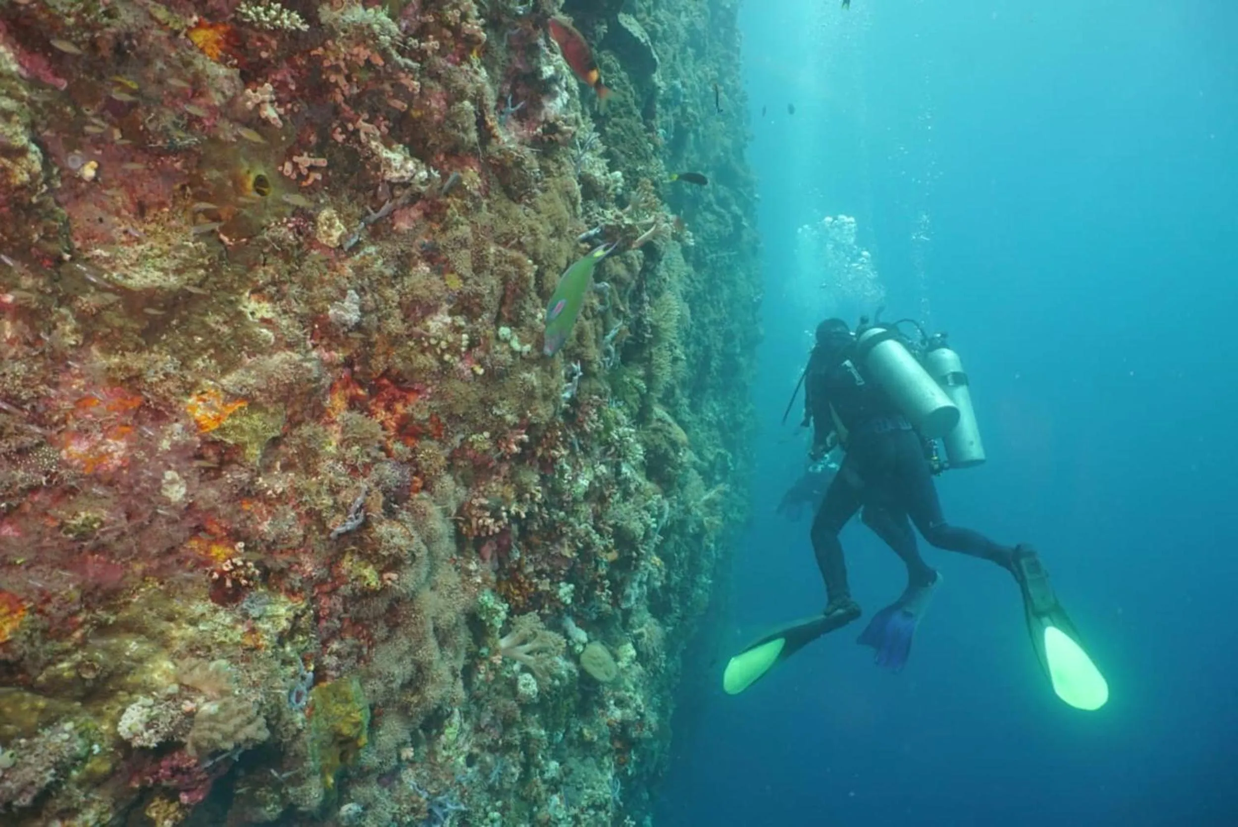 Sea World Club Beach Resort & Dive Center, RESORT THAT SUPPORTS THE POOR