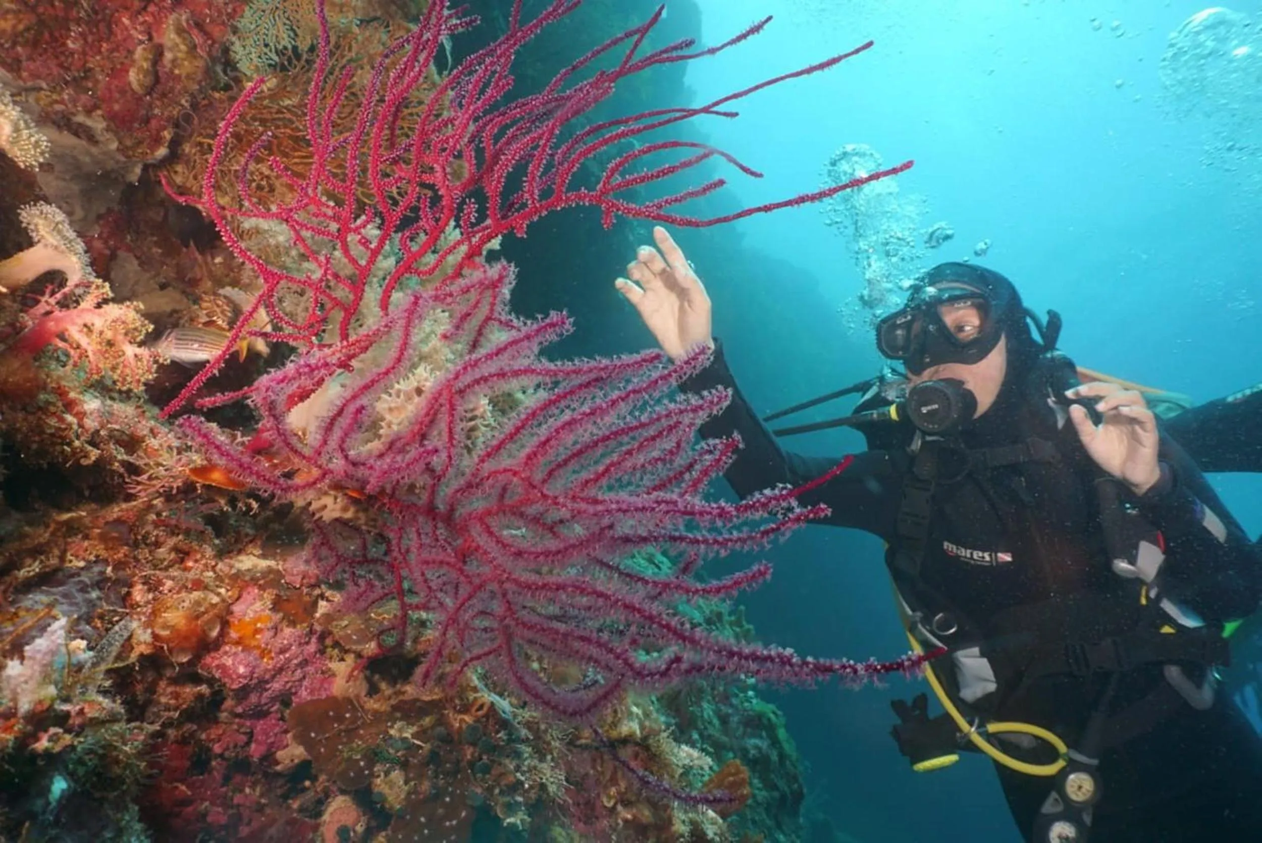 Sea World Club Beach Resort & Dive Center, RESORT THAT SUPPORTS THE POOR