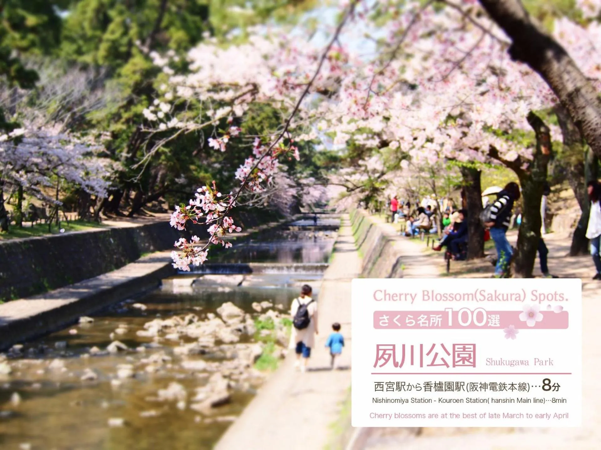 Nearby landmark in Toyotaya Hostel