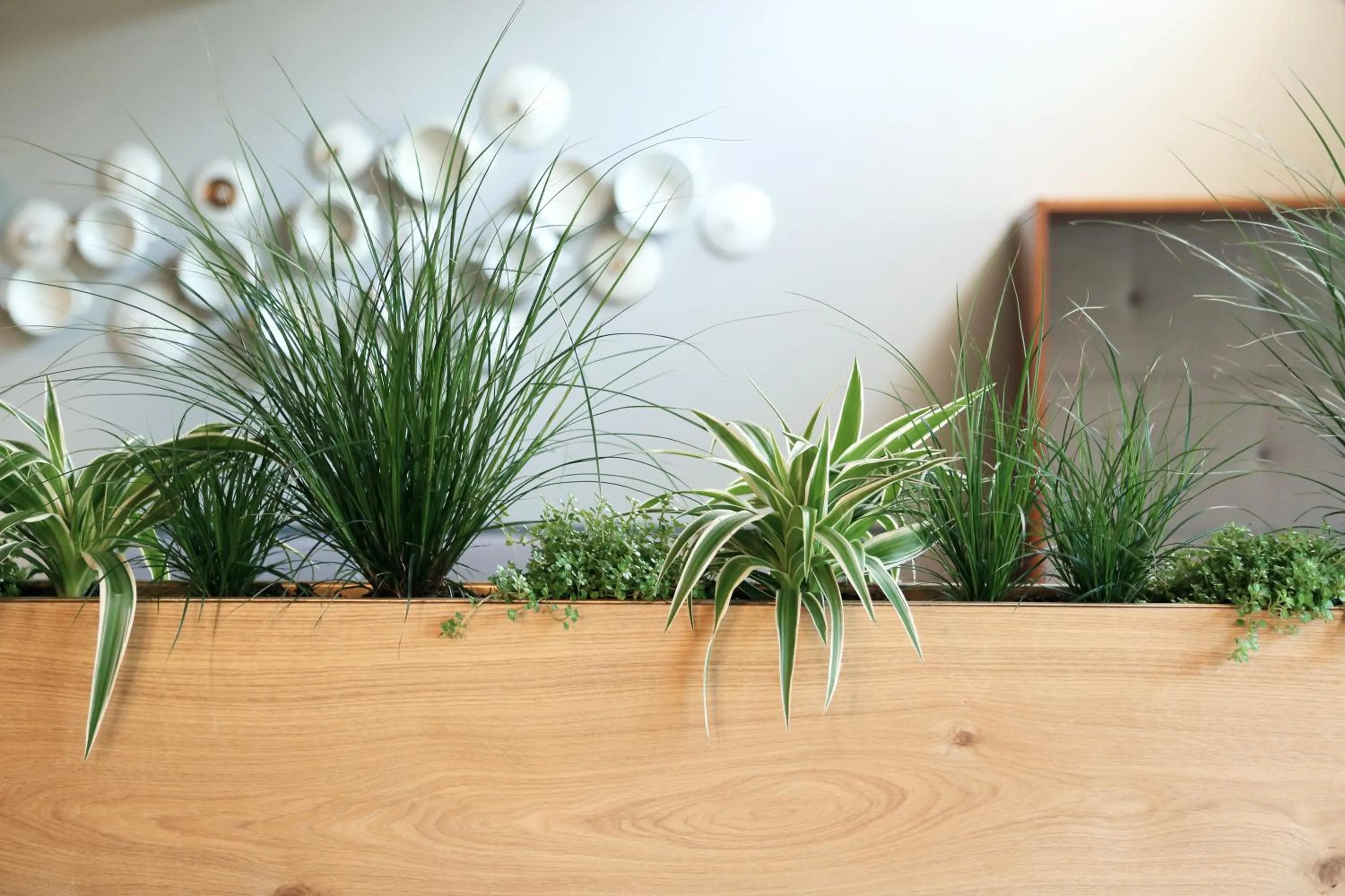 Dining area in Walliserhof