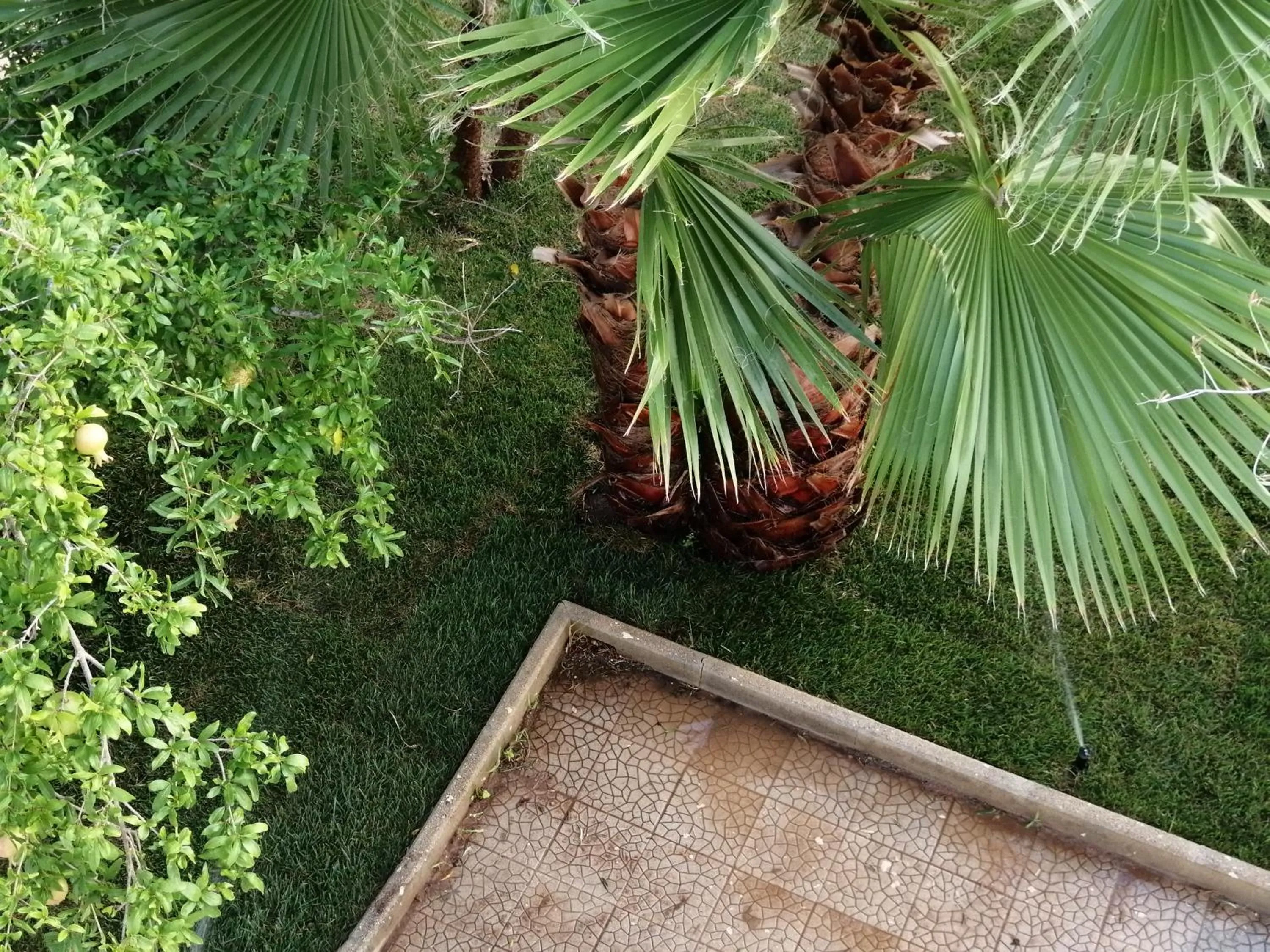 View (from property/room) in B&B Villa Magi