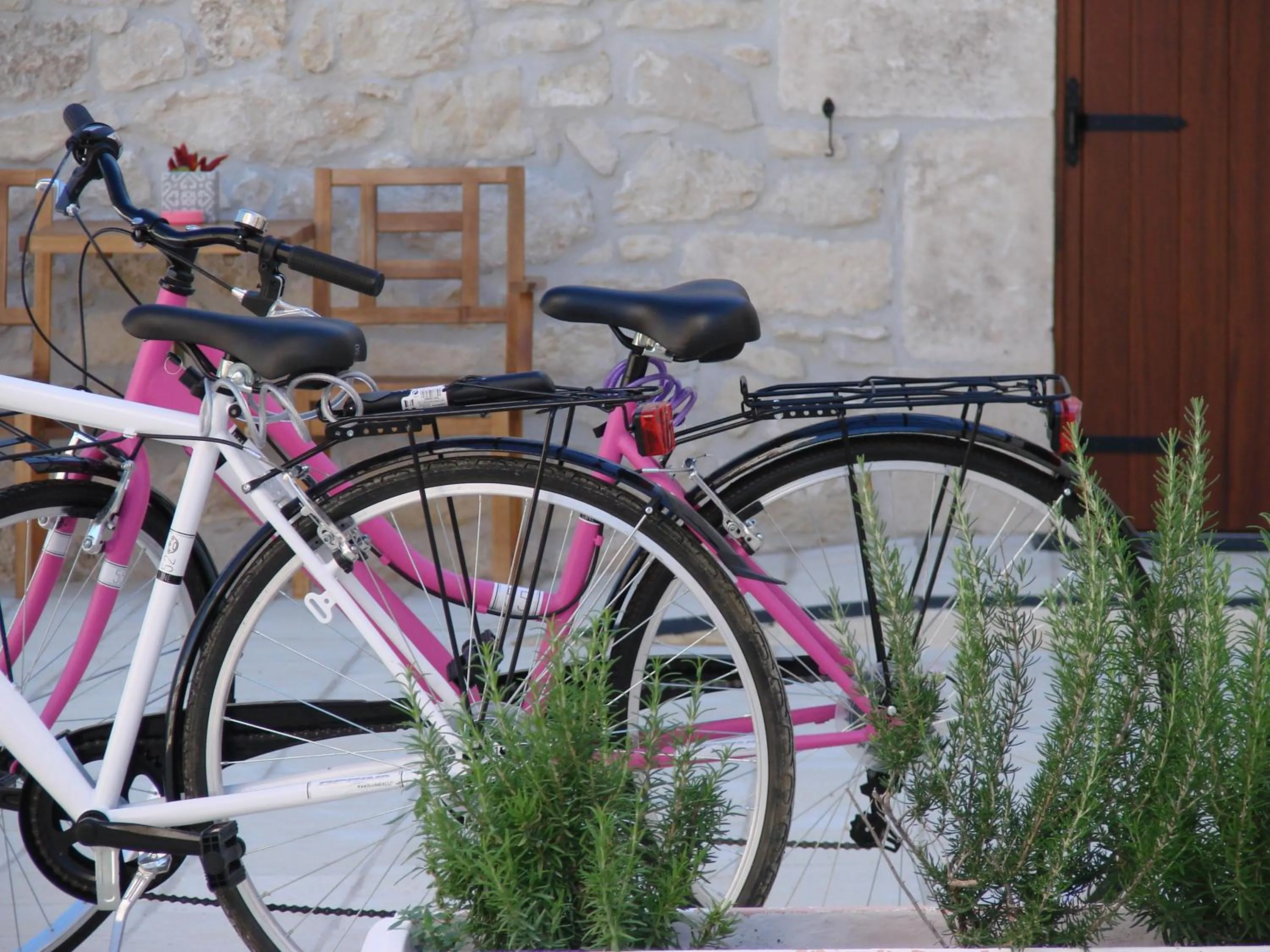 Garden in Kinanto Bioresort