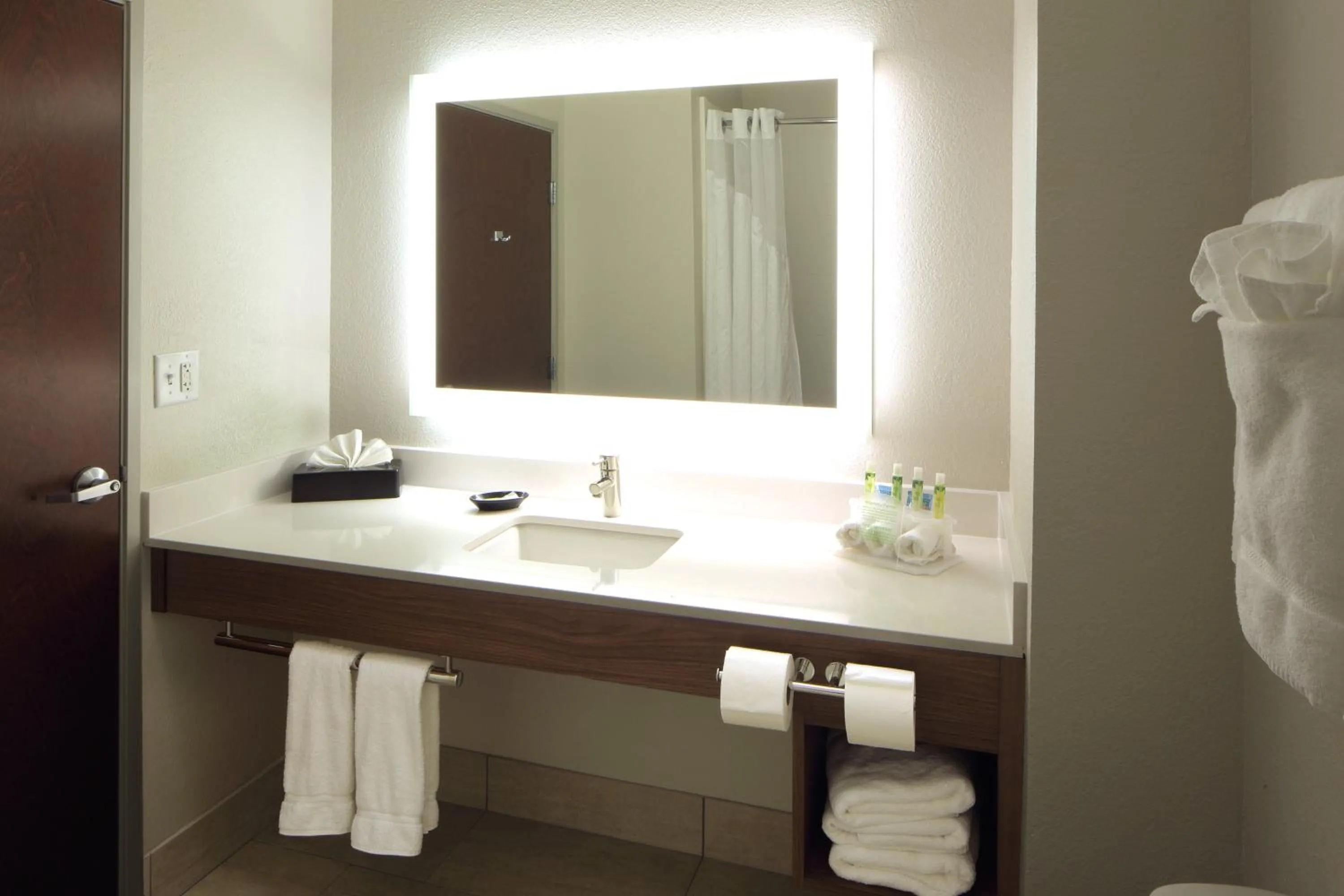 Bathroom in Holiday Inn Express Hotel & Suites Atlanta Airport West - Camp Creek by IHG