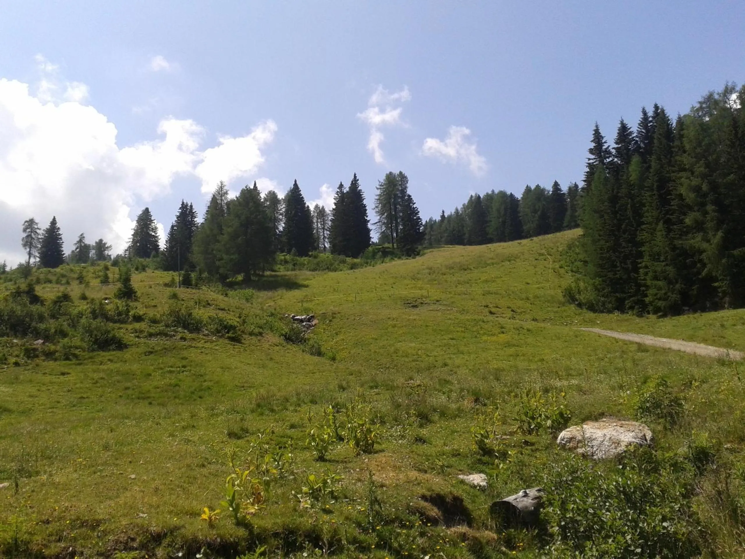 Hiking in Alpenhotel Marcius