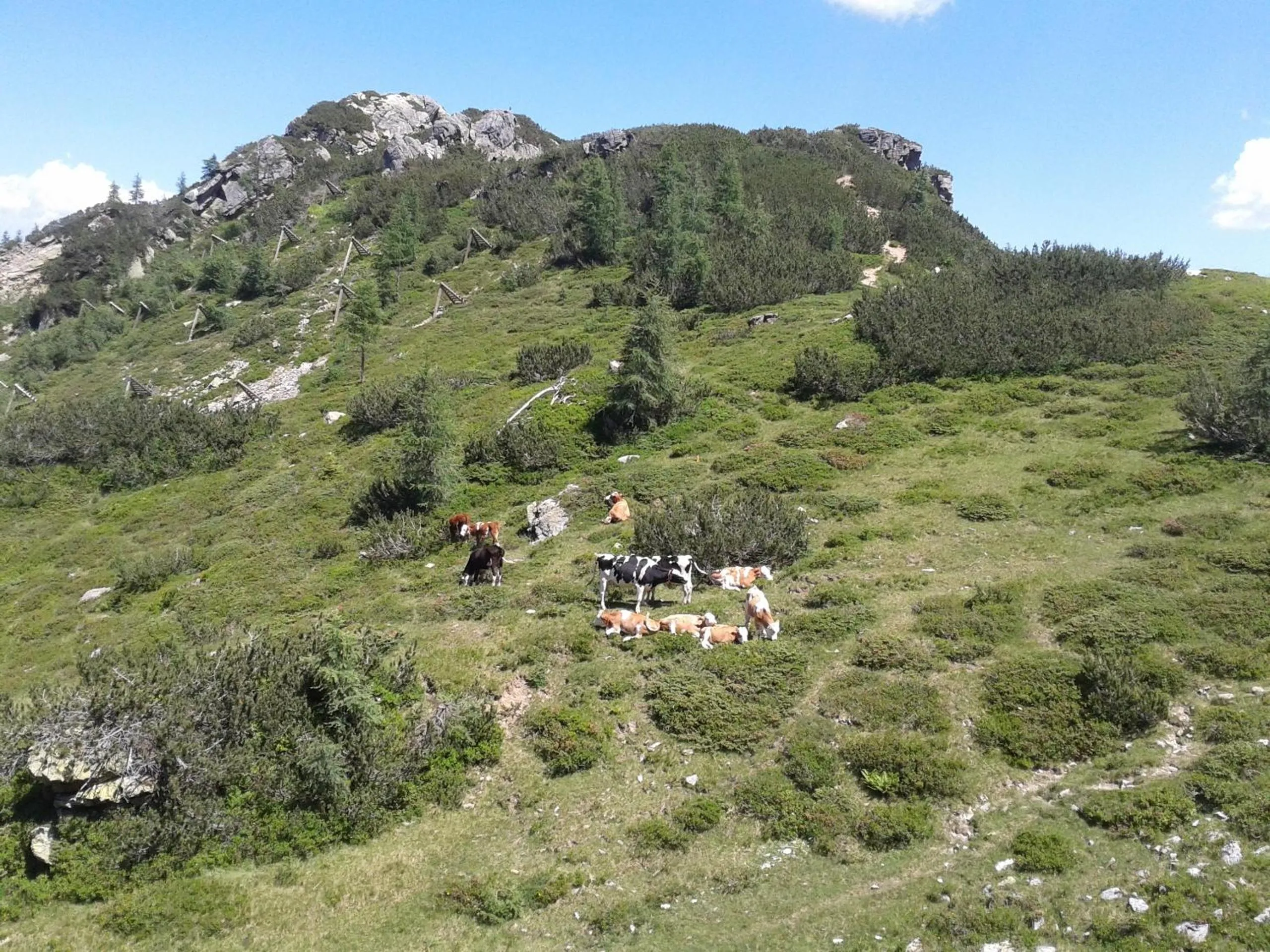 Hiking in Alpenhotel Marcius