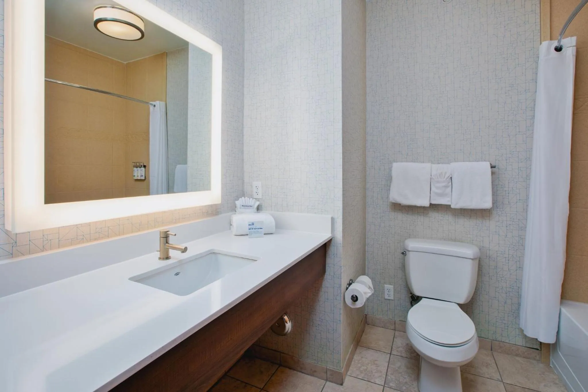 Bathroom in Holiday Inn Express Hotel & Suites Auburn Hills by IHG