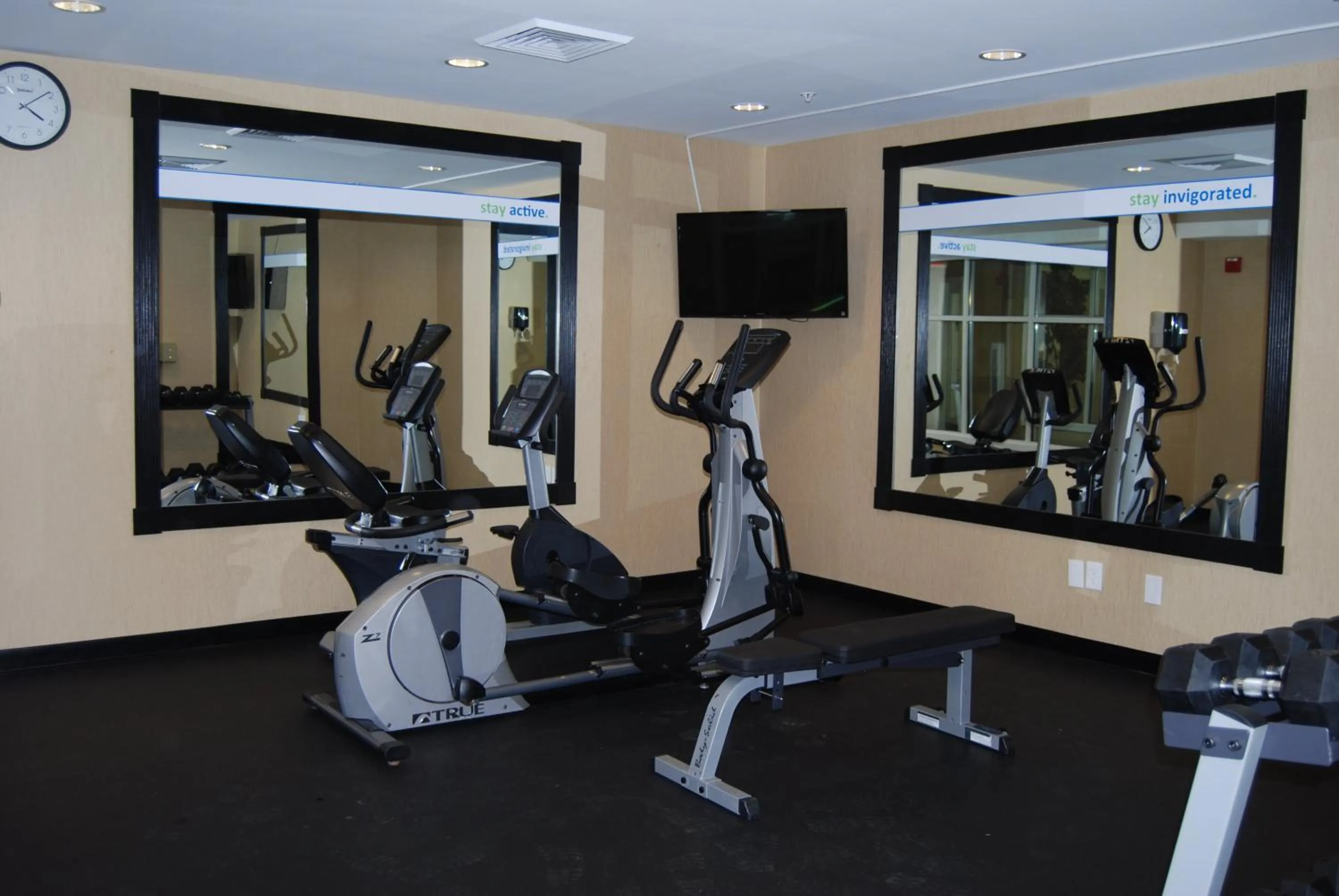 Spa and wellness centre/facilities in Holiday Inn Express Hotel & Suites Auburn Hills by IHG