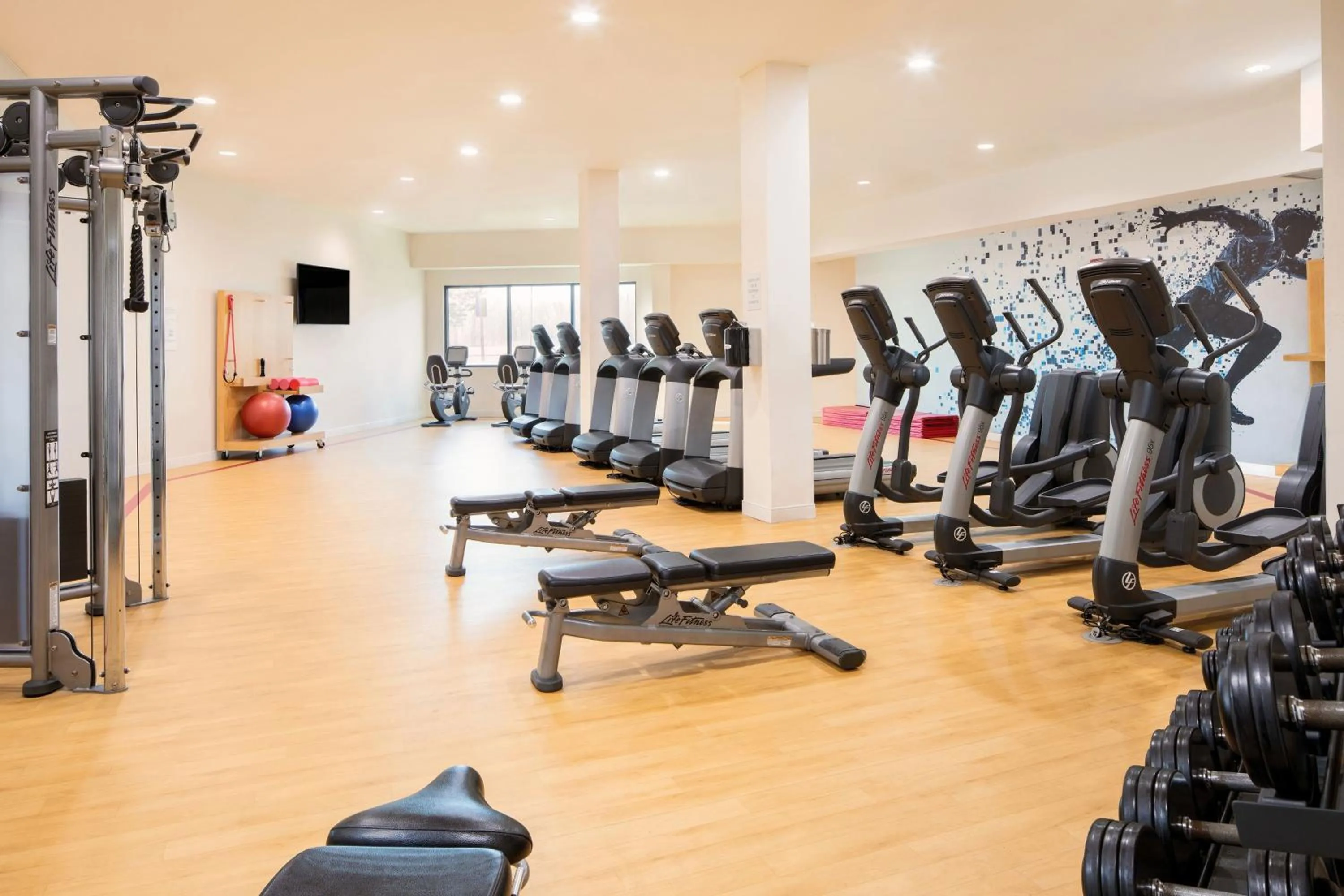 Fitness centre/facilities in Sheraton Detroit Metro Airport