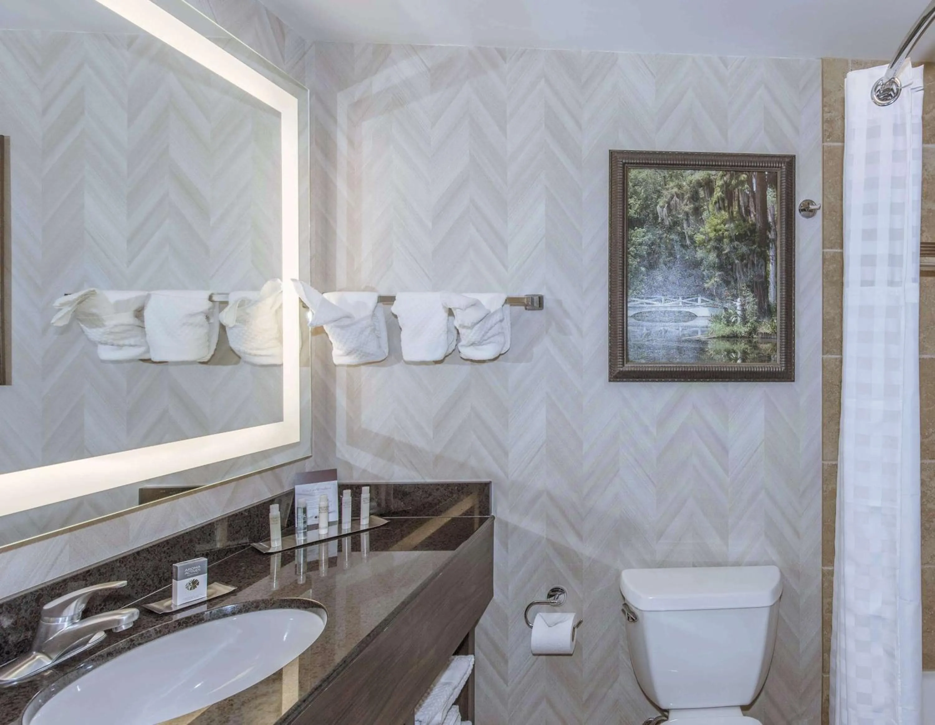 Toilet in DoubleTree by Hilton North Charleston - Convention Center