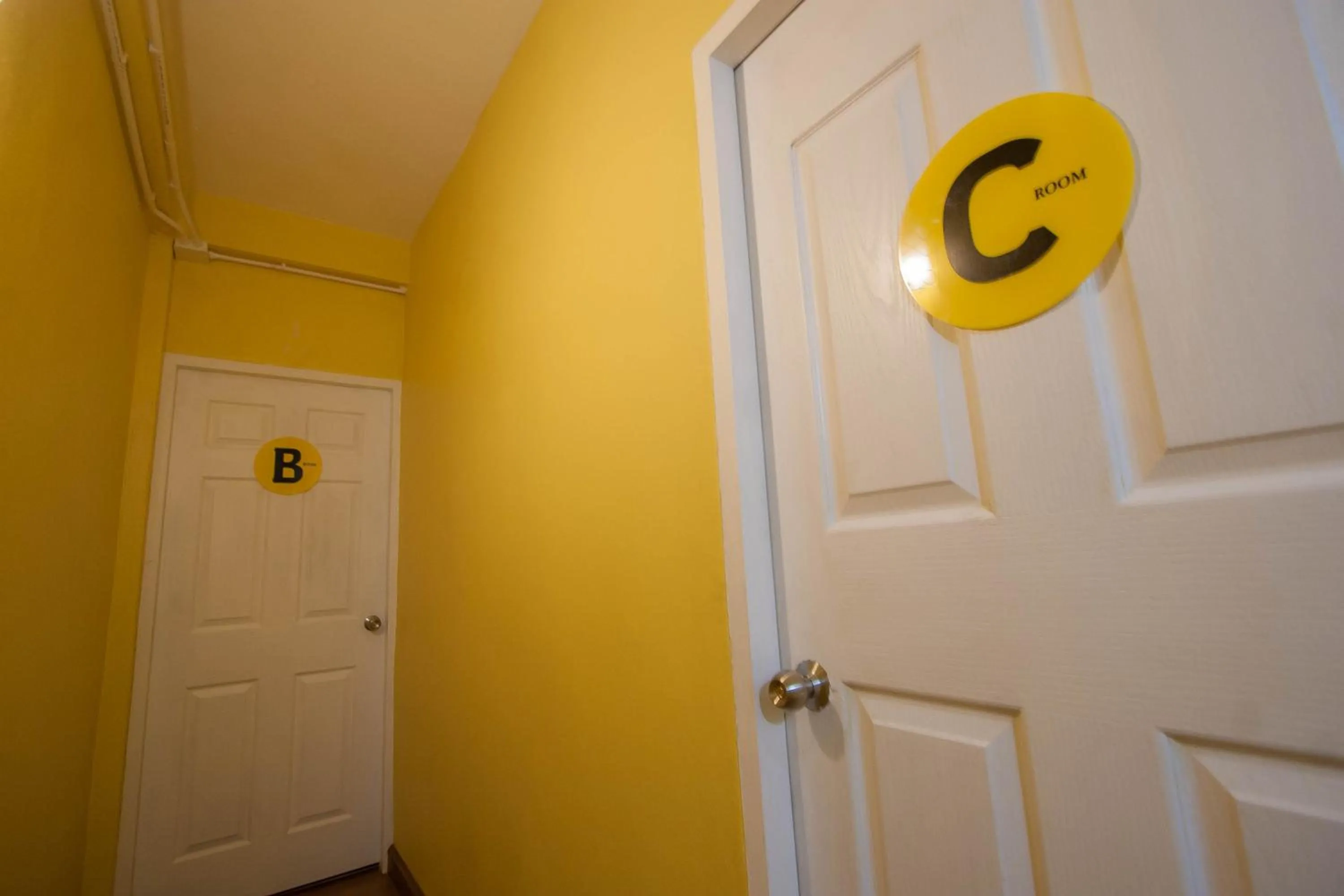 Photo of the whole room in Thai Thai Hostel