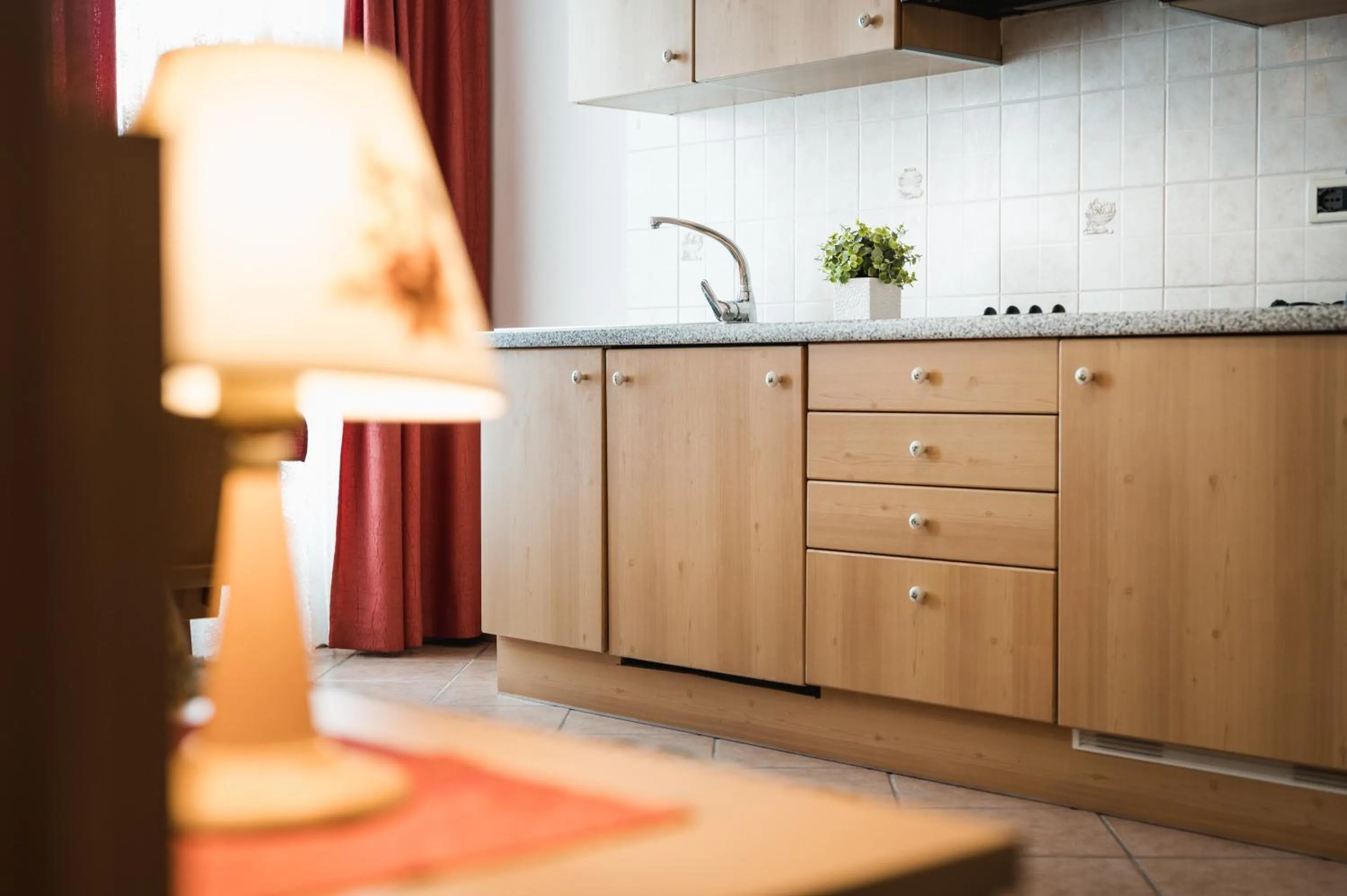 Kitchen or kitchenette in Apparthotel Sellaronda