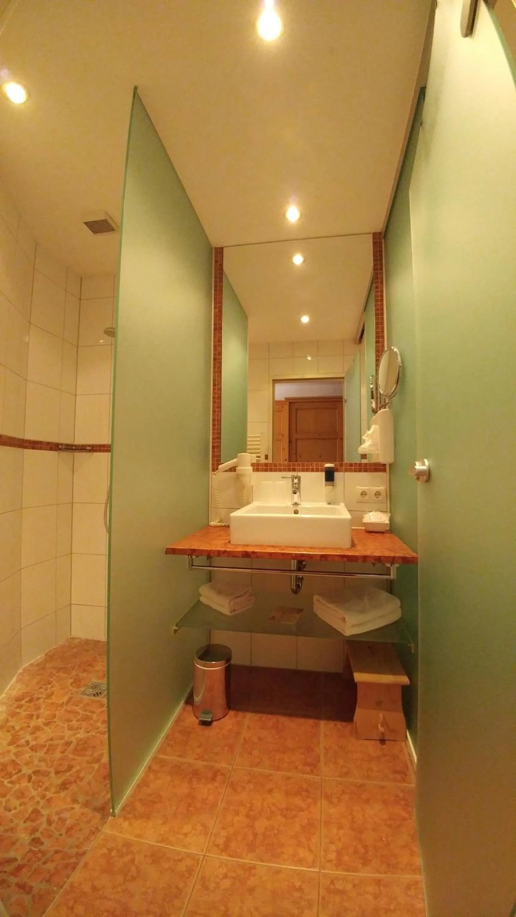 Shower in Familien- & Vitalhotel Auenhof