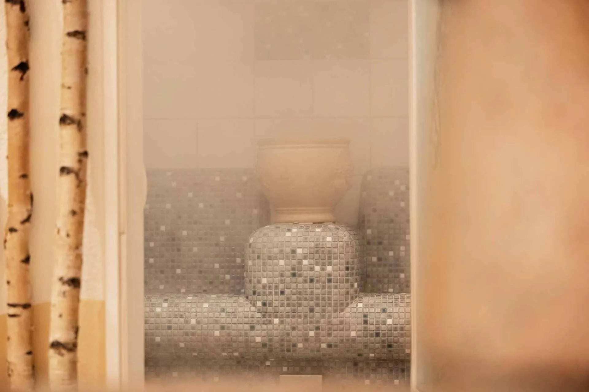 Steam room in Familien- & Vitalhotel Auenhof