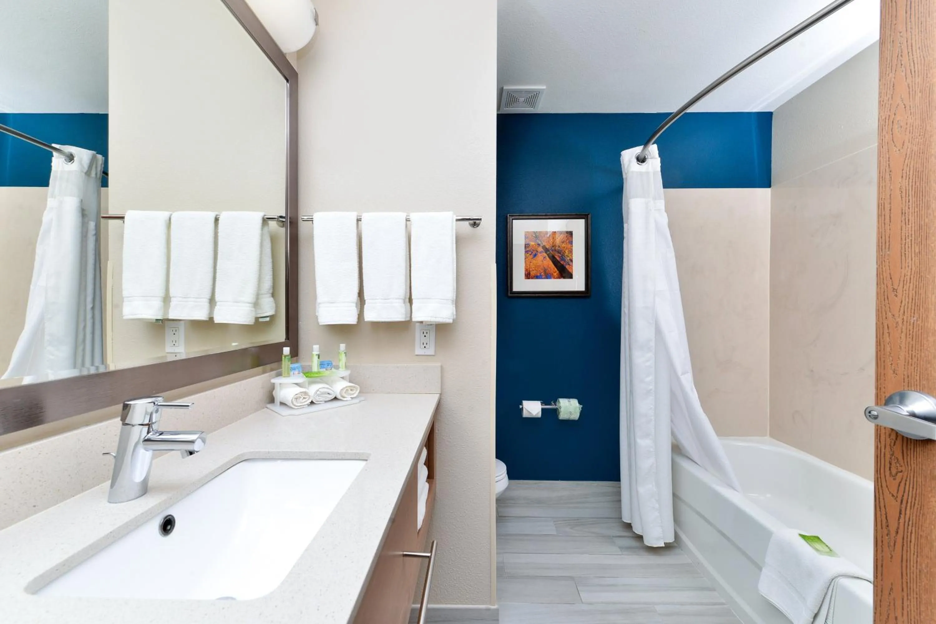 Bathroom in Holiday Inn Express Albuquerque N - Bernalillo by IHG