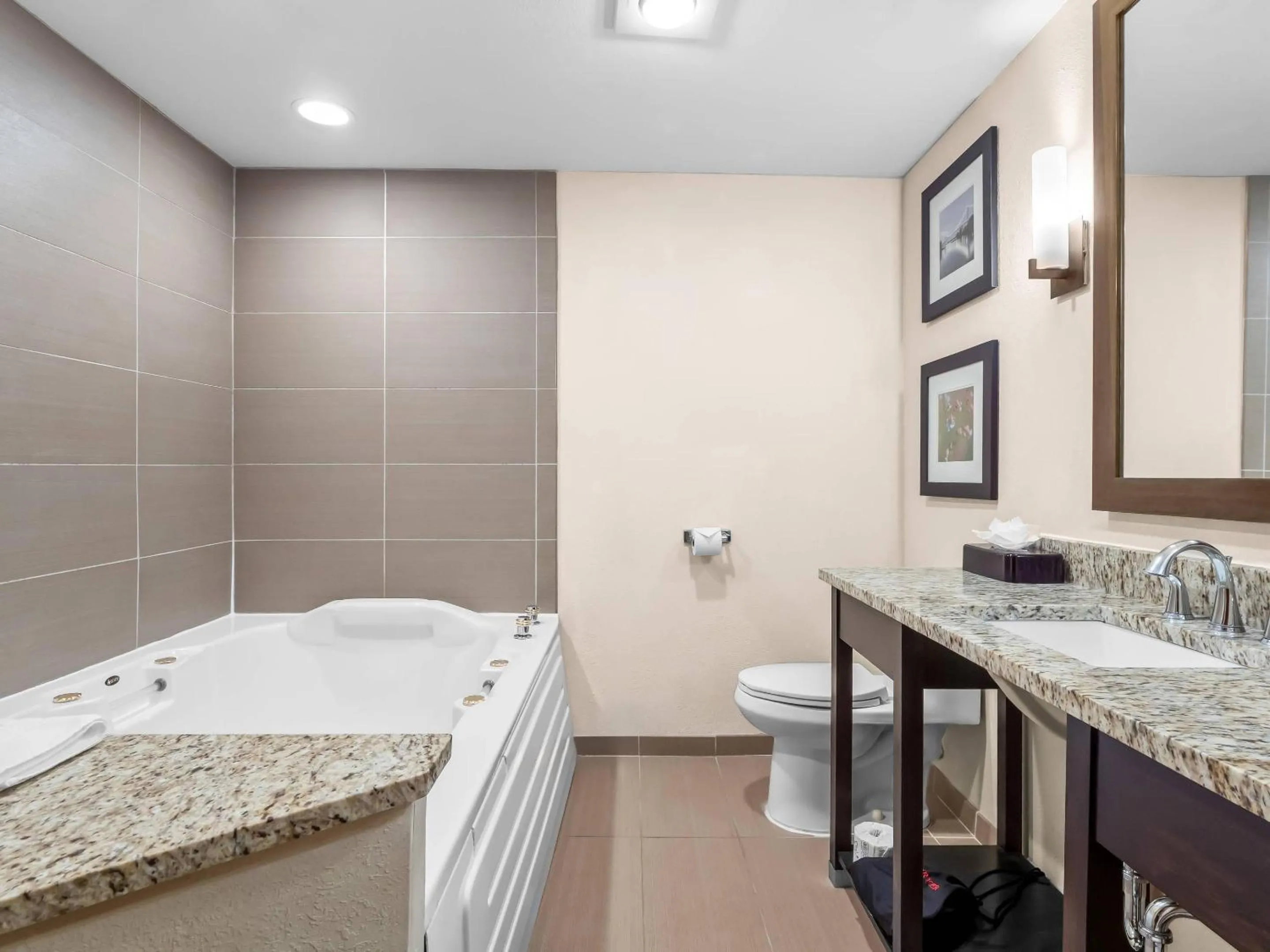 Bedroom in Comfort Inn & Suites Allen Park - Dearborn